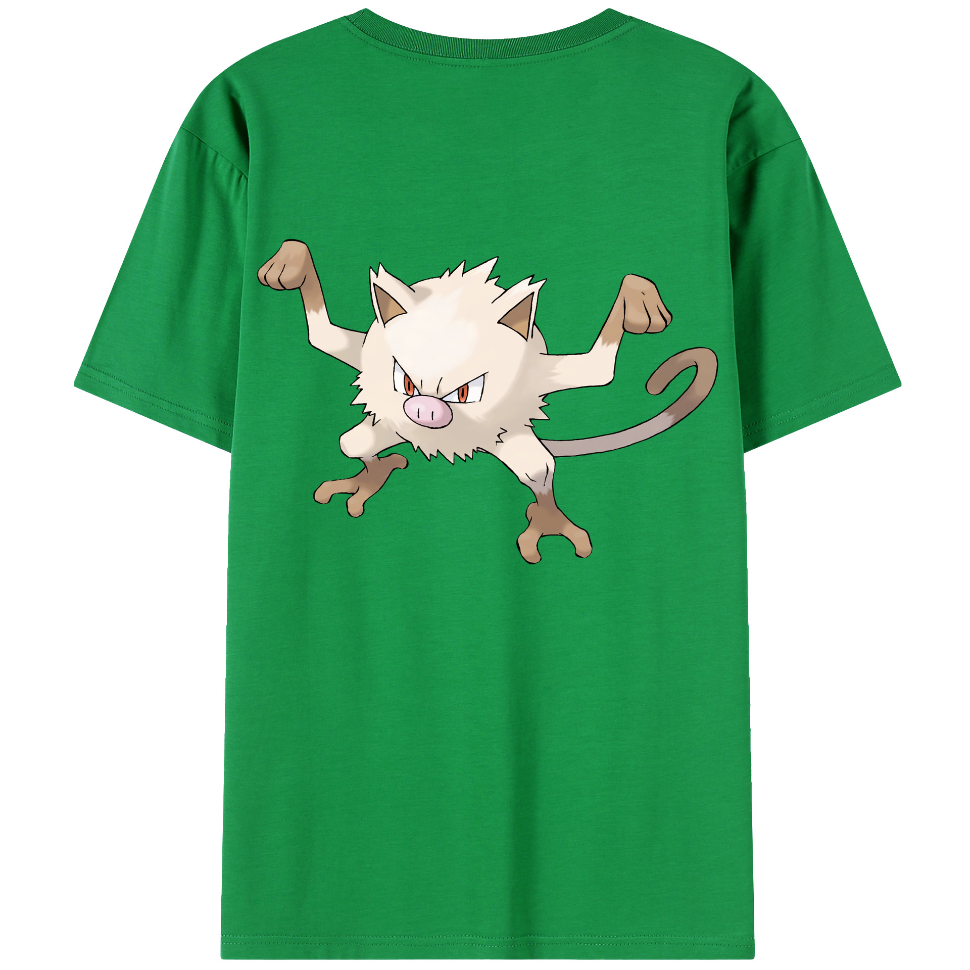 （画像用） ポケットモンスター Pokémon レディース半袖Tシャツ(バックプリント)