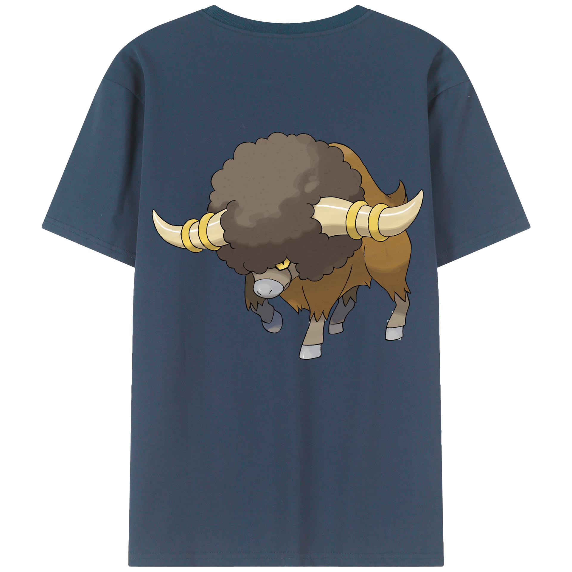 （画像用） ポケットモンスター Pokémon レディース半袖Tシャツ(バックプリント)