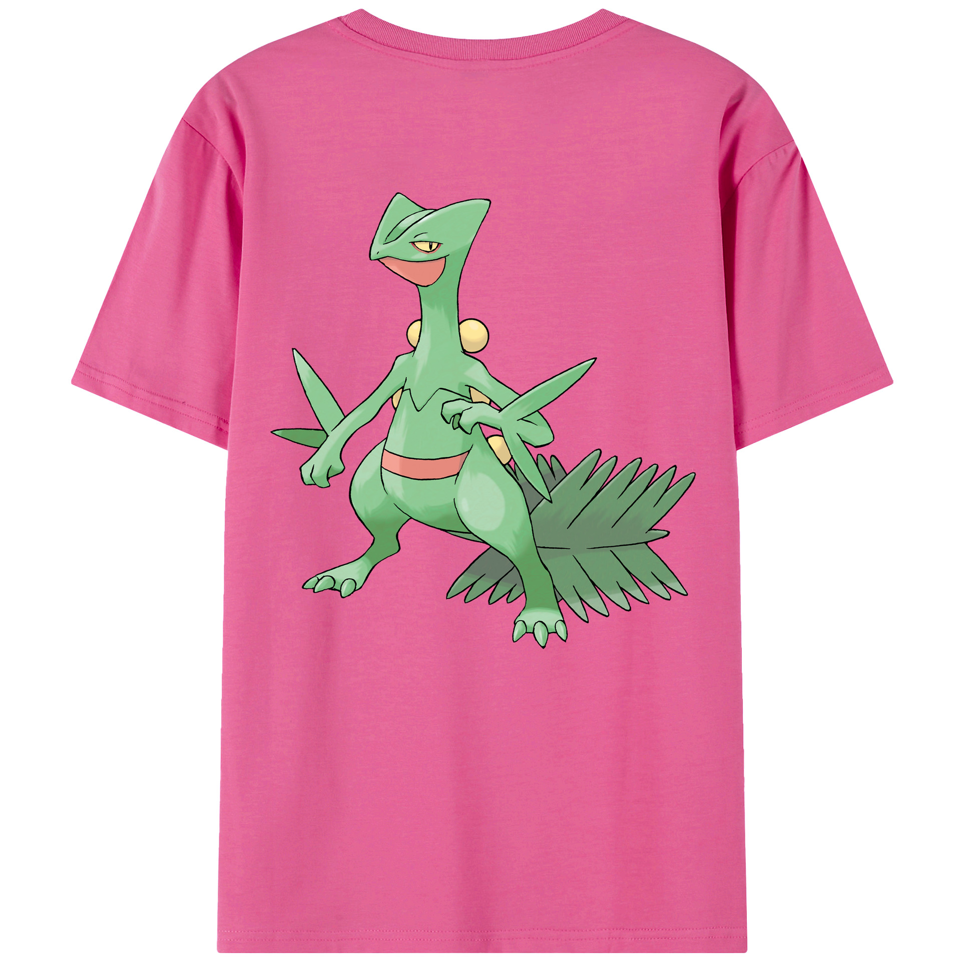 （画像用） ポケットモンスター Pokémon レディース半袖Tシャツ(バックプリント)