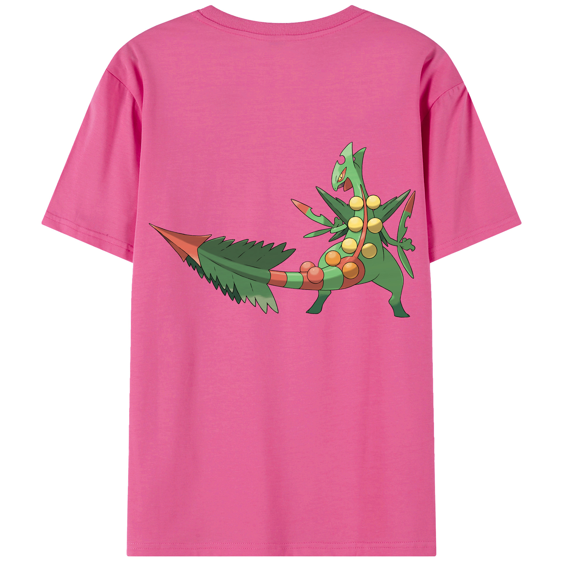 （画像用） ポケットモンスター Pokémon レディース半袖Tシャツ(バックプリント)