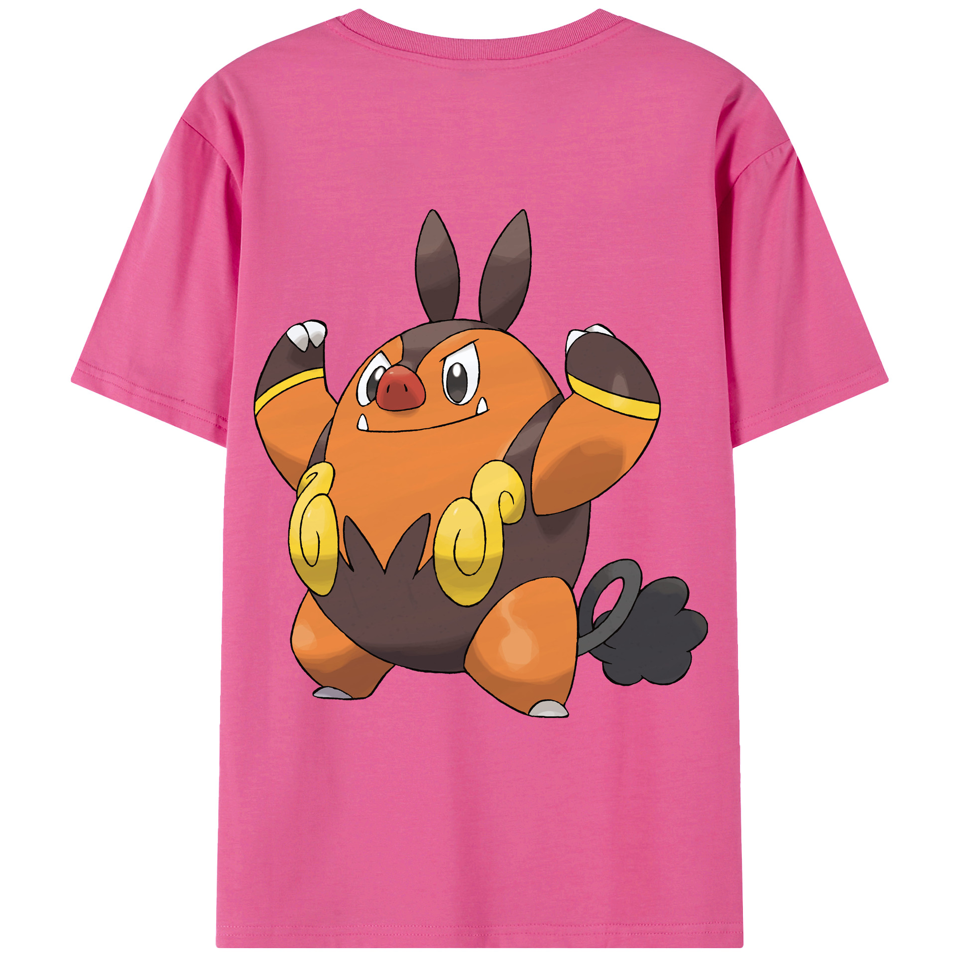 （画像用） ポケットモンスター Pokémon レディース半袖Tシャツ(バックプリント)
