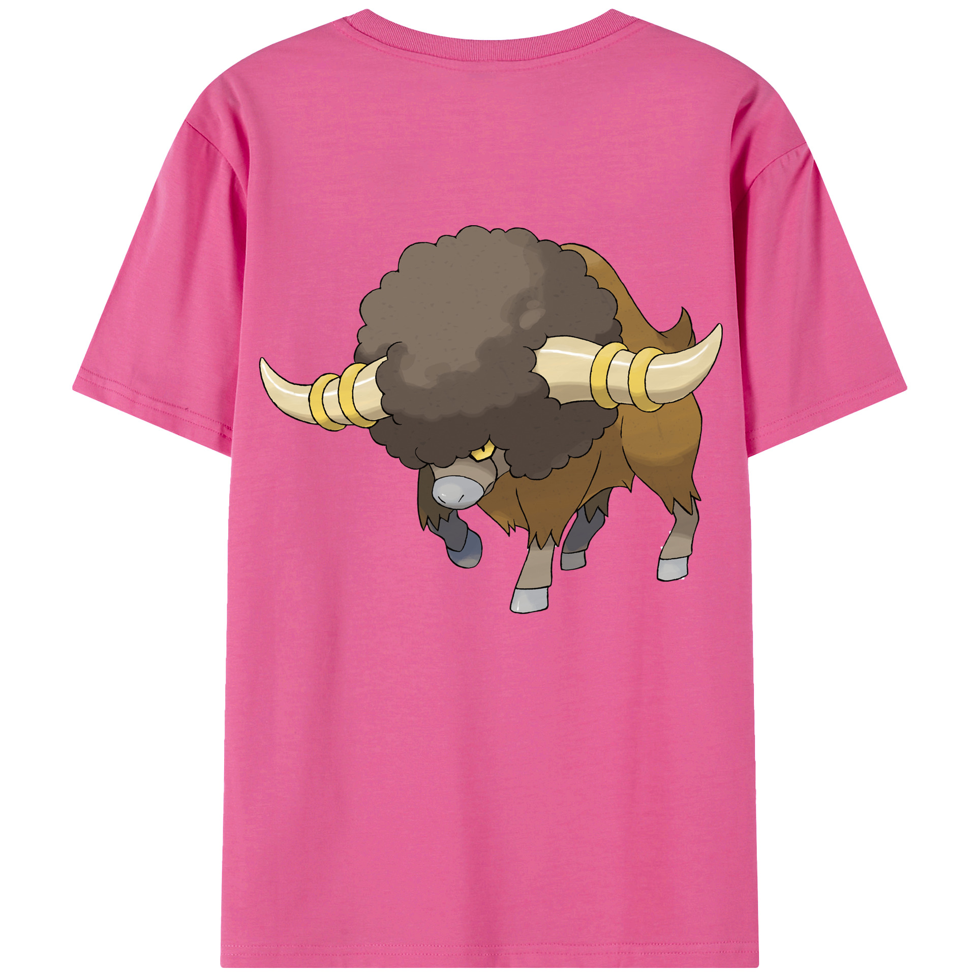 （画像用） ポケットモンスター Pokémon レディース半袖Tシャツ(バックプリント)