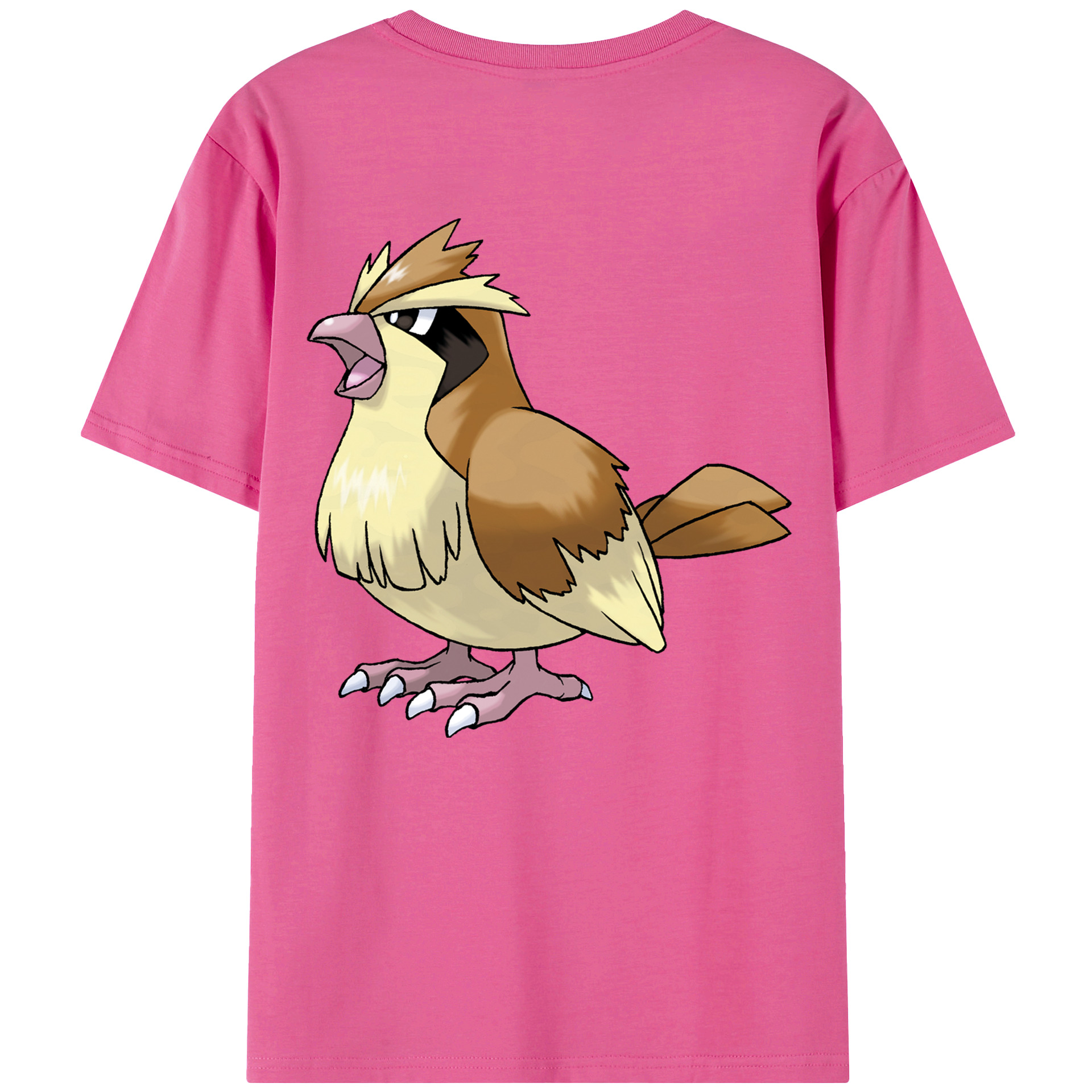 （画像用） ポケットモンスター Pokémon レディース半袖Tシャツ(バックプリント)