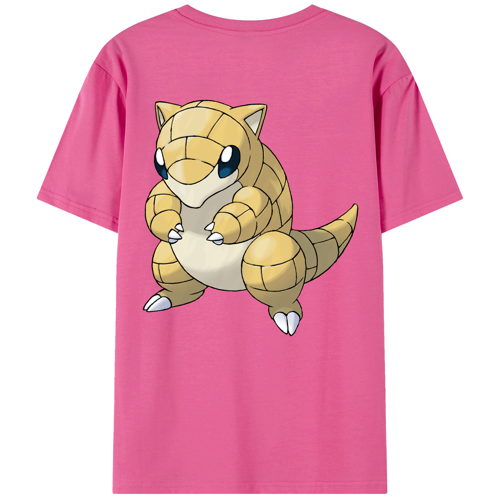 （画像用） ポケットモンスター Pokémon レディース半袖Tシャツ(バックプリント)