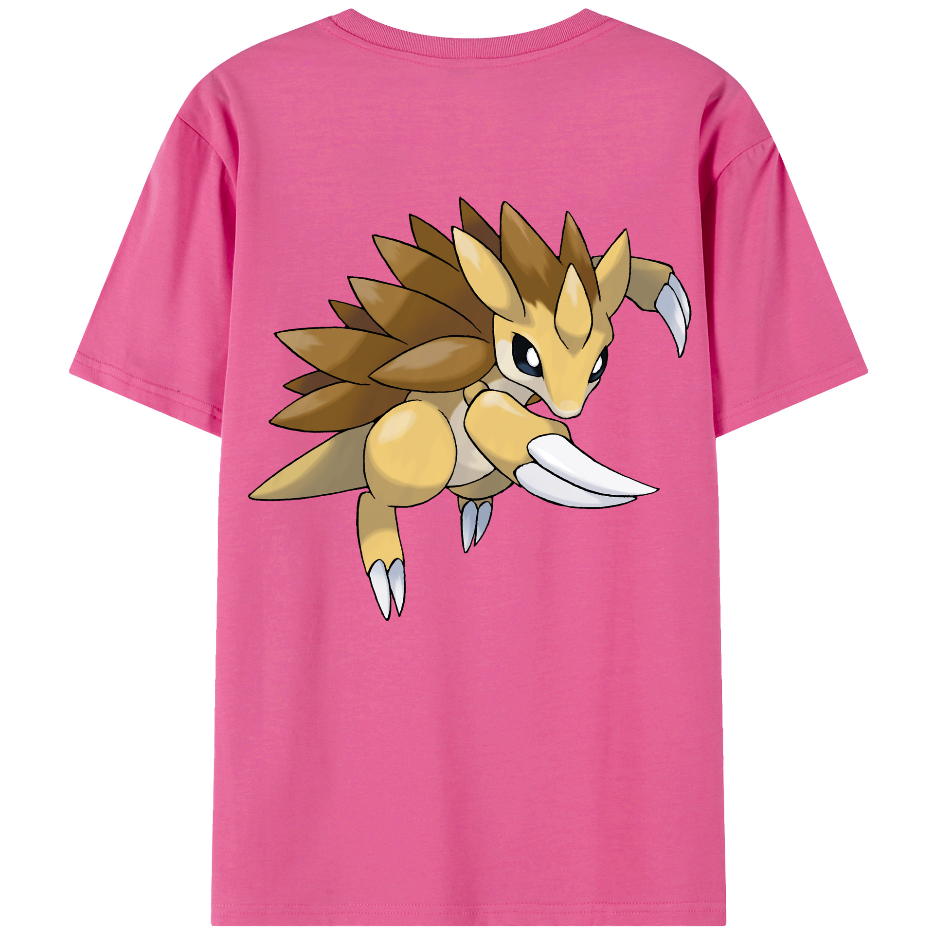 （画像用） ポケットモンスター Pokémon レディース半袖Tシャツ(バックプリント)