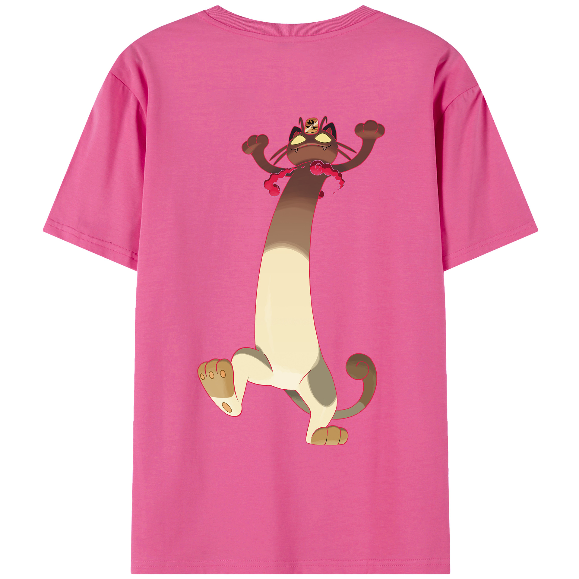 （画像用） ポケットモンスター Pokémon レディース半袖Tシャツ(バックプリント)