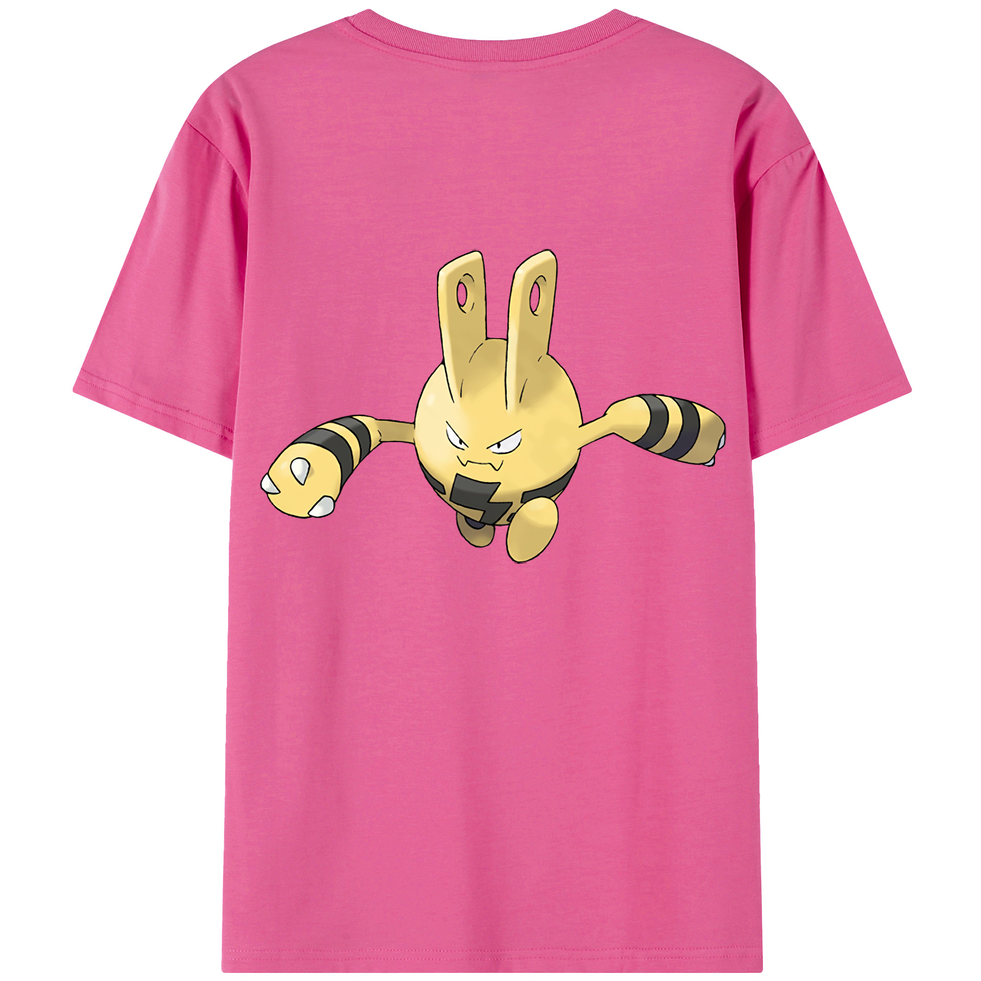 （画像用） ポケットモンスター Pokémon レディース半袖Tシャツ(バックプリント)
