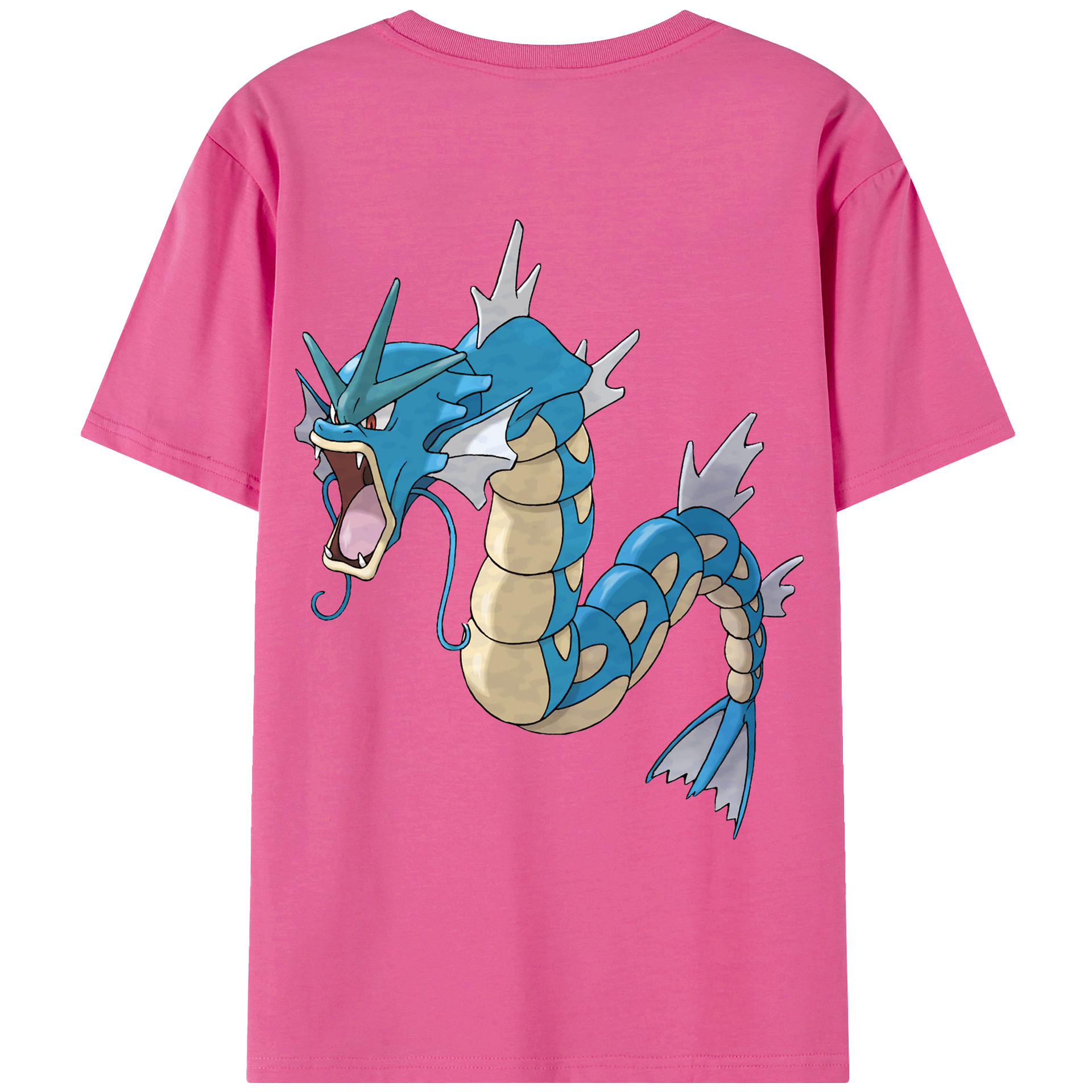 （画像用） ポケットモンスター Pokémon レディース半袖Tシャツ(バックプリント)