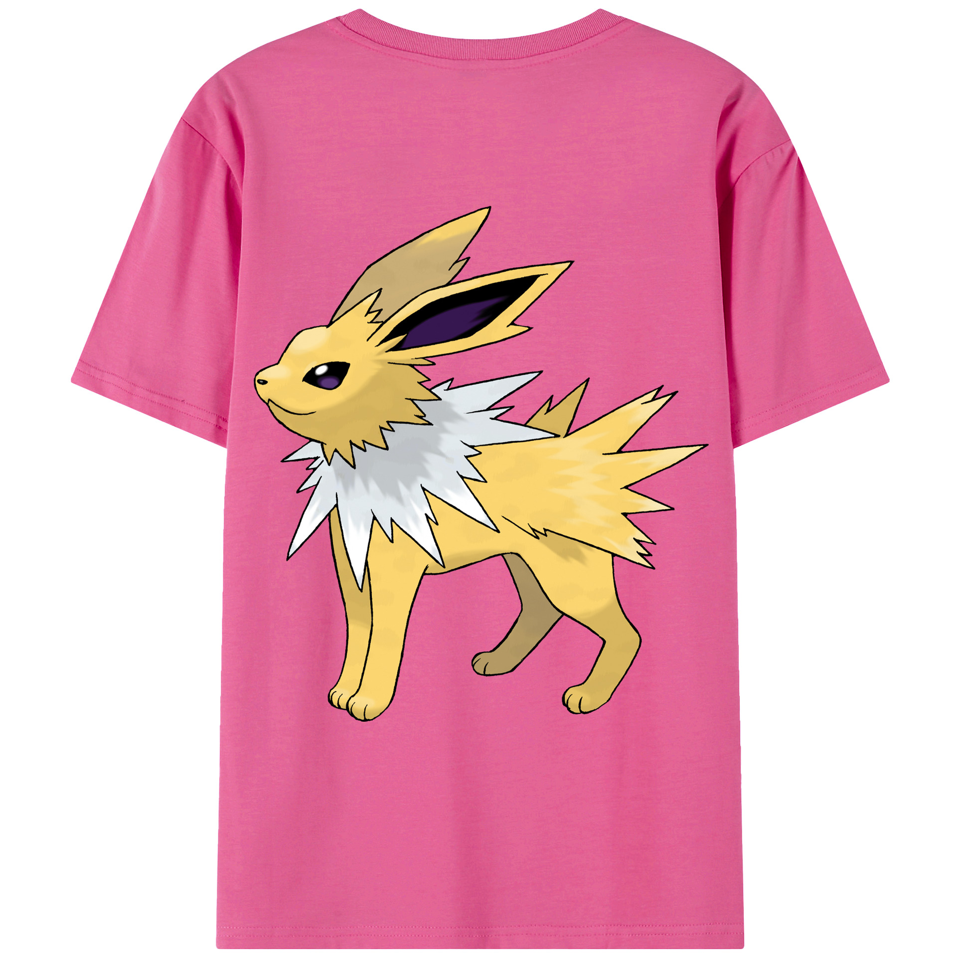 （画像用） ポケットモンスター Pokémon レディース半袖Tシャツ(バックプリント)