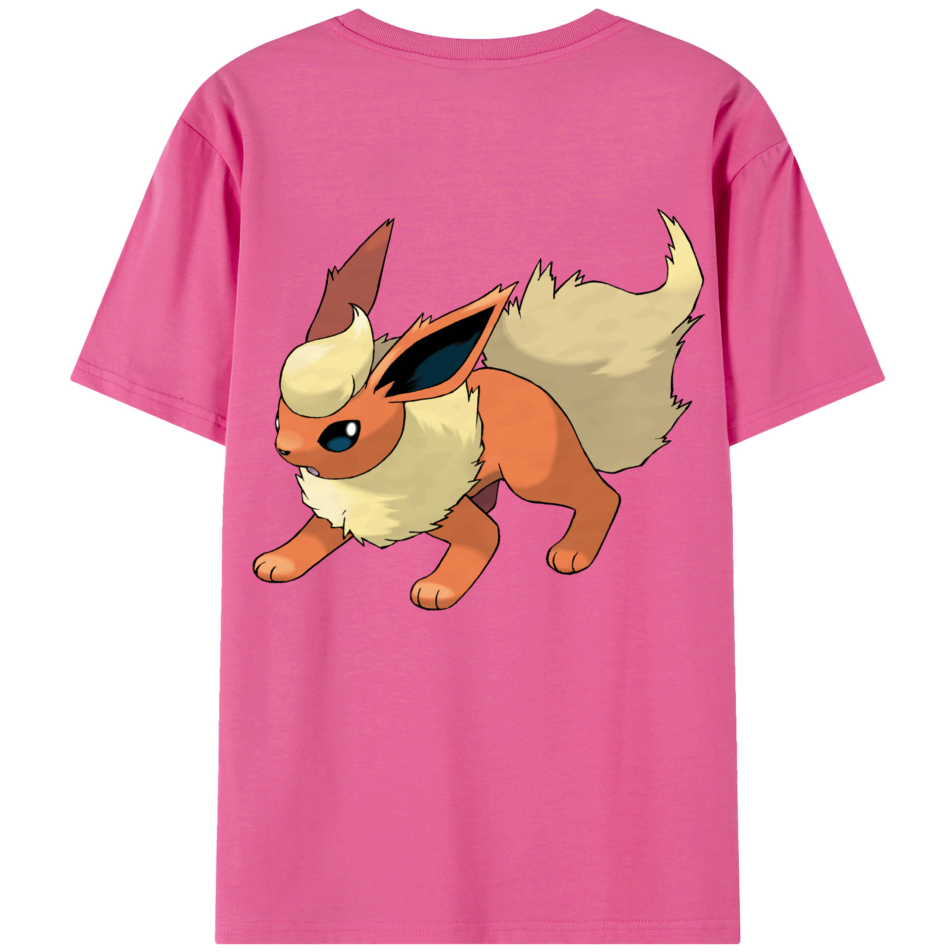 （画像用） ポケットモンスター Pokémon レディース半袖Tシャツ(バックプリント)