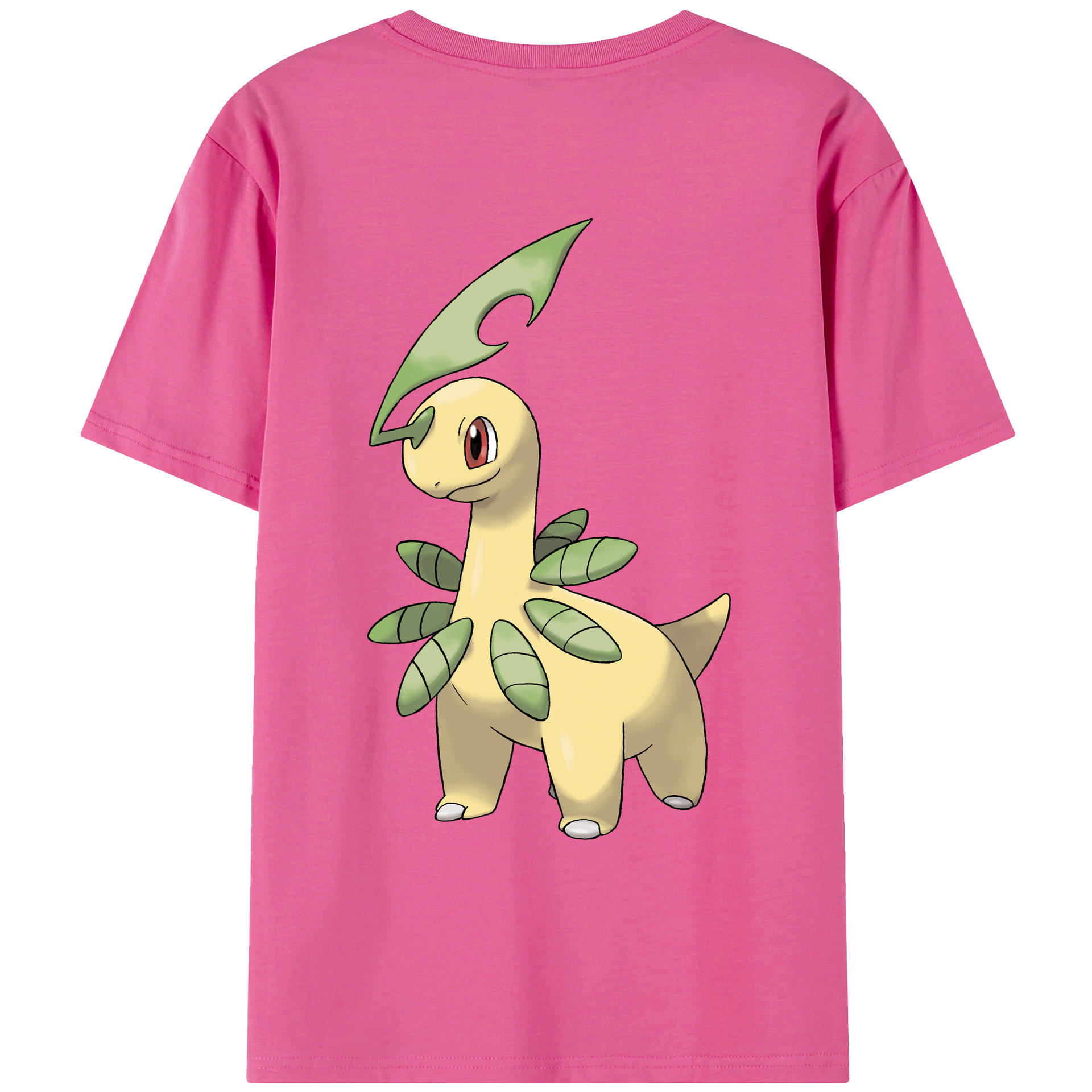 （画像用） ポケットモンスター Pokémon レディース半袖Tシャツ(バックプリント)