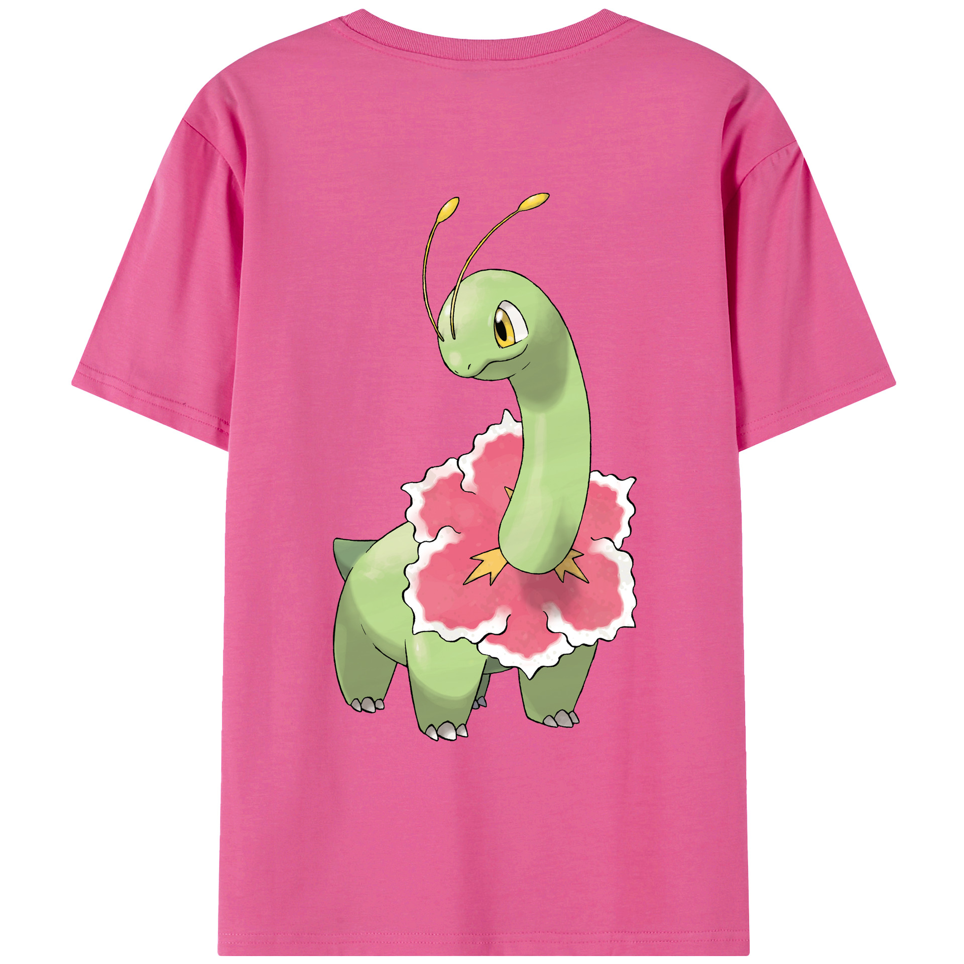 （画像用） ポケットモンスター Pokémon レディース半袖Tシャツ(バックプリント)