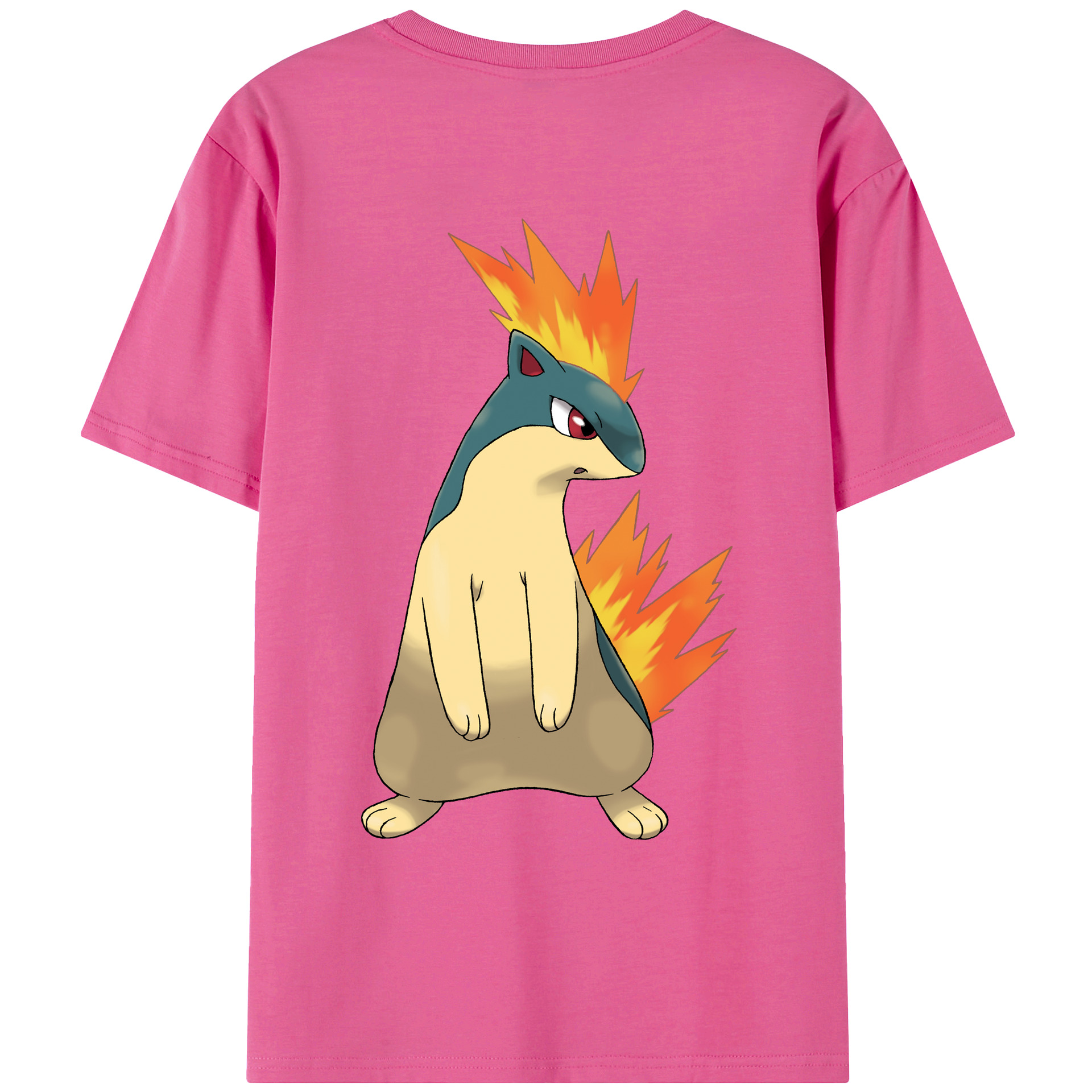 （画像用） ポケットモンスター Pokémon レディース半袖Tシャツ(バックプリント)