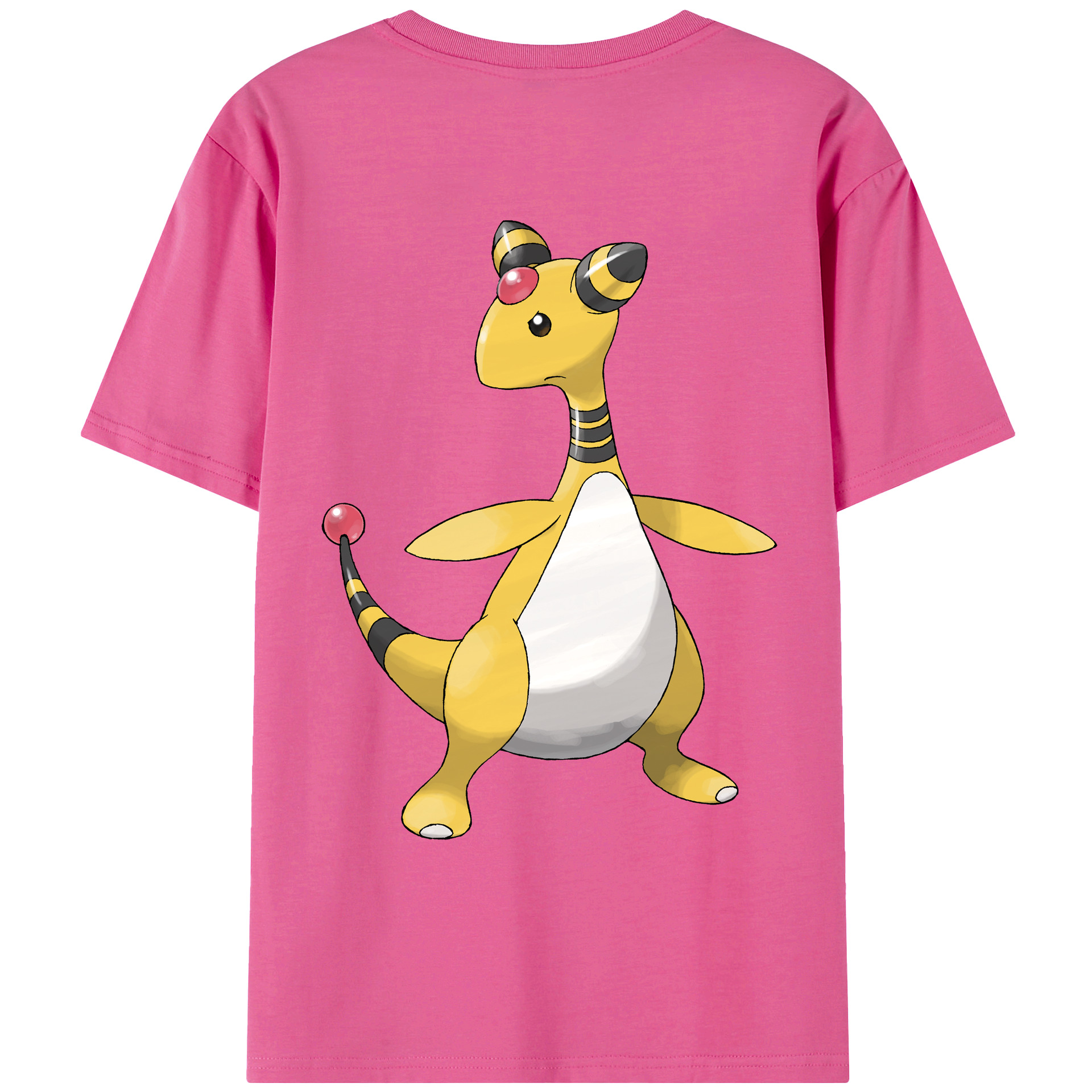 （画像用） ポケットモンスター Pokémon レディース半袖Tシャツ(バックプリント)