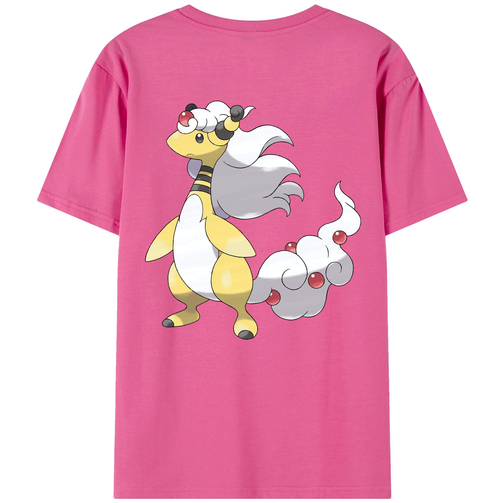 （画像用） ポケットモンスター Pokémon レディース半袖Tシャツ(バックプリント)