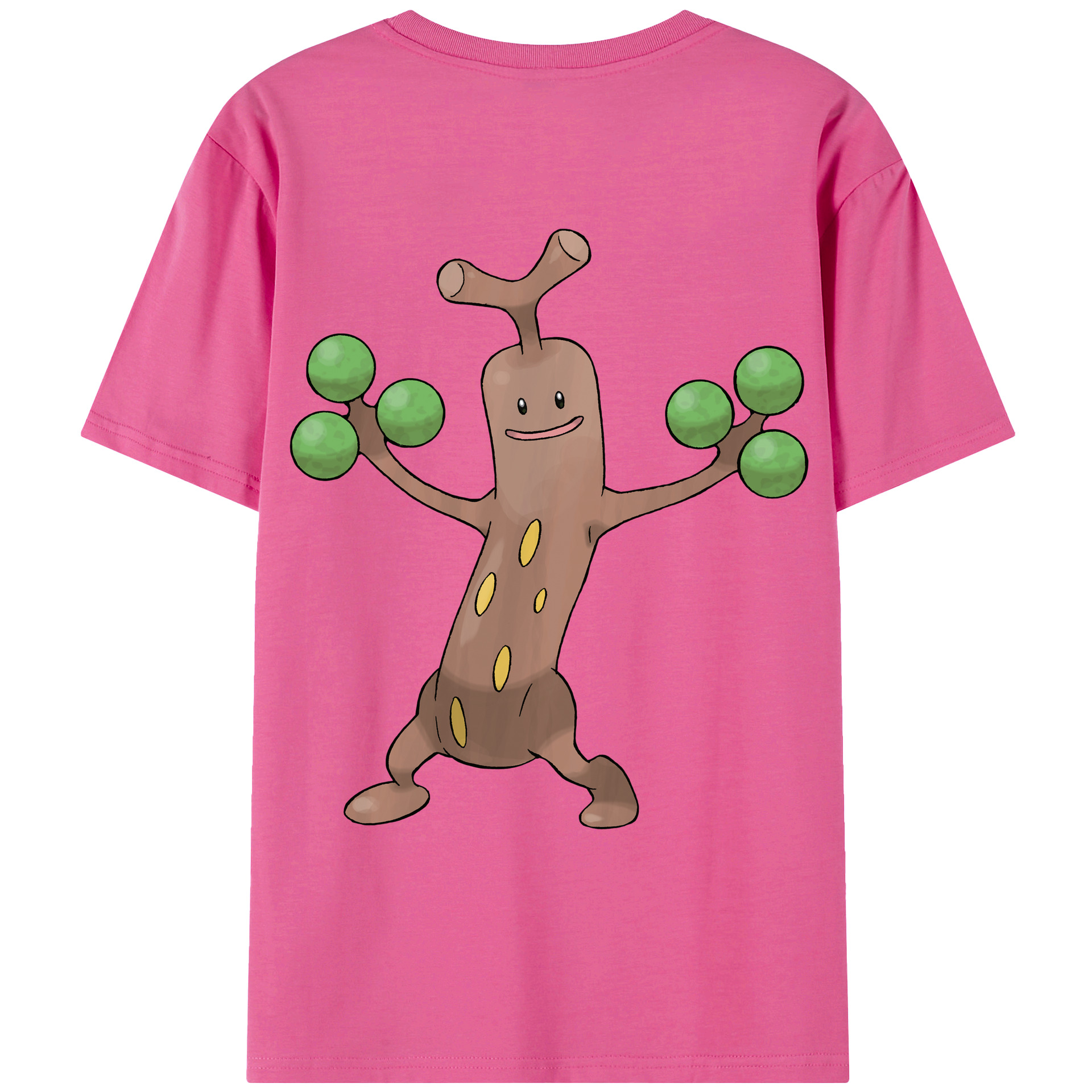 （画像用） ポケットモンスター Pokémon レディース半袖Tシャツ(バックプリント)
