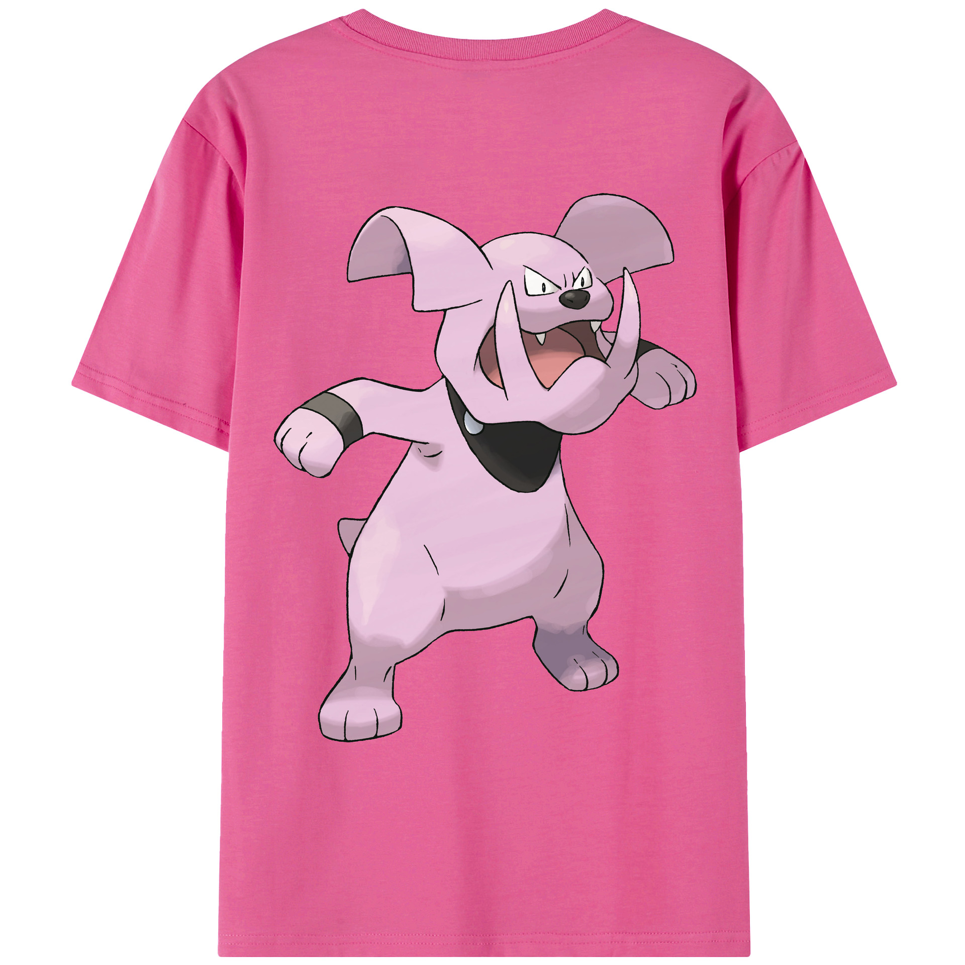 （画像用） ポケットモンスター Pokémon レディース半袖Tシャツ(バックプリント)