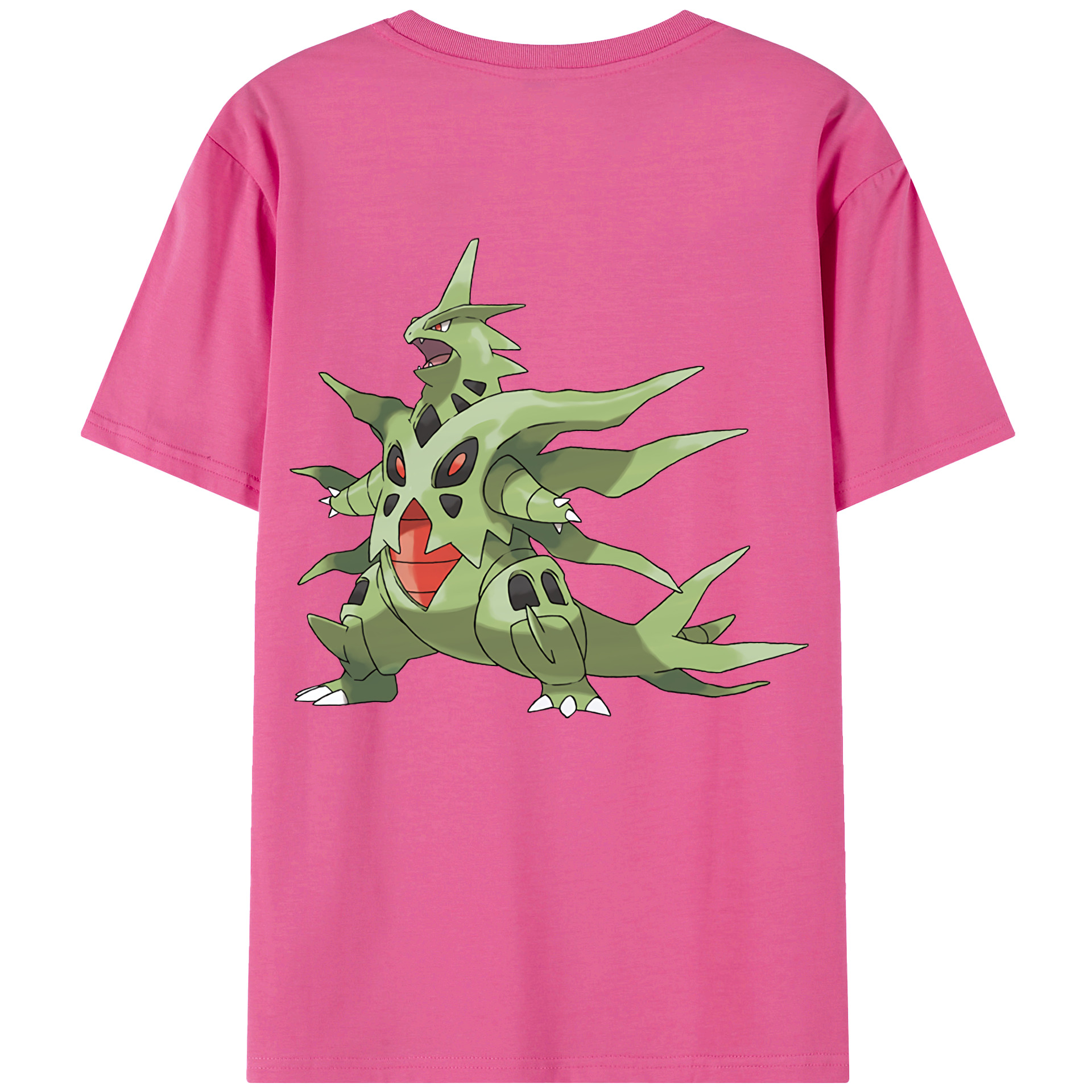 （画像用） ポケットモンスター Pokémon レディース半袖Tシャツ(バックプリント)