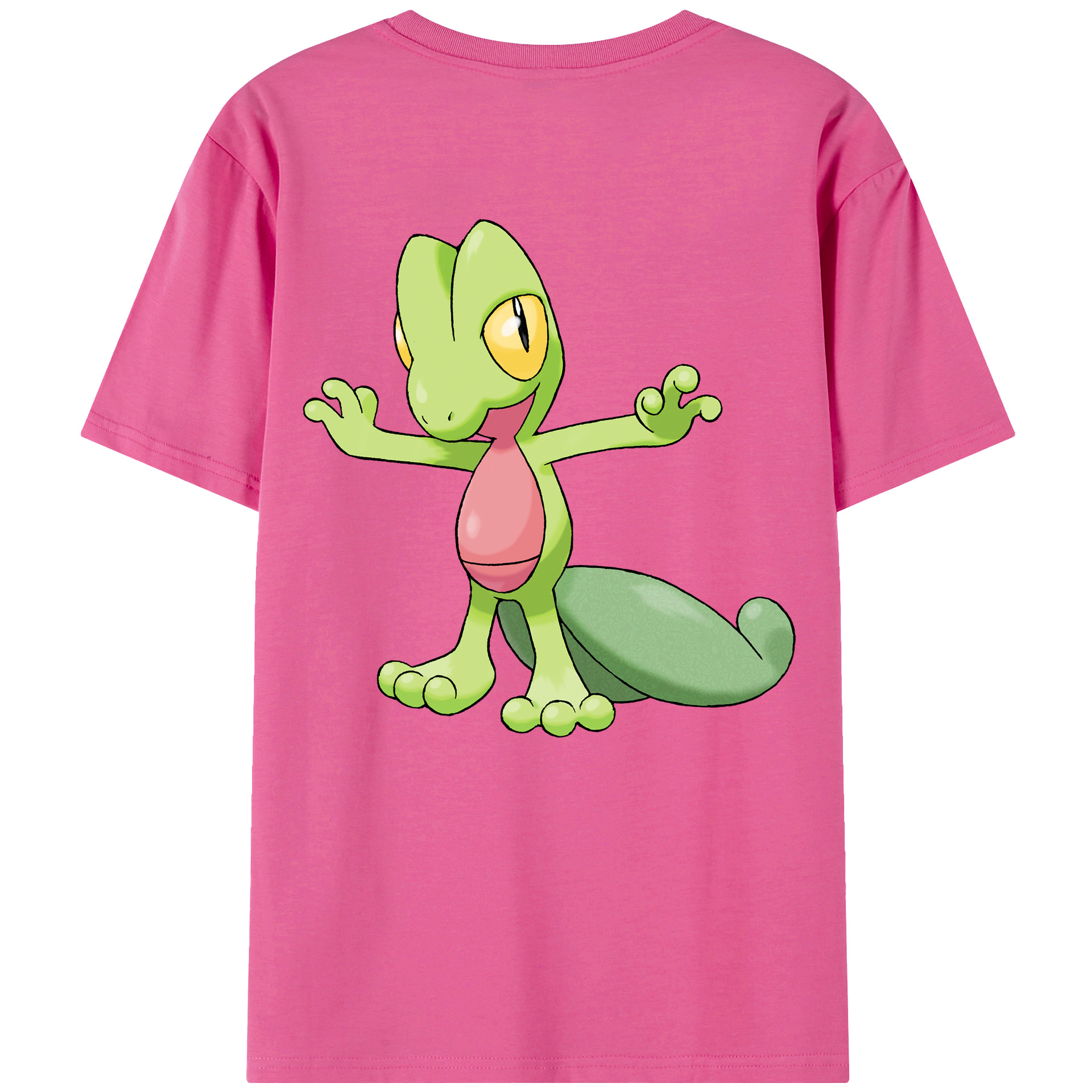 （画像用） ポケットモンスター Pokémon レディース半袖Tシャツ(バックプリント)