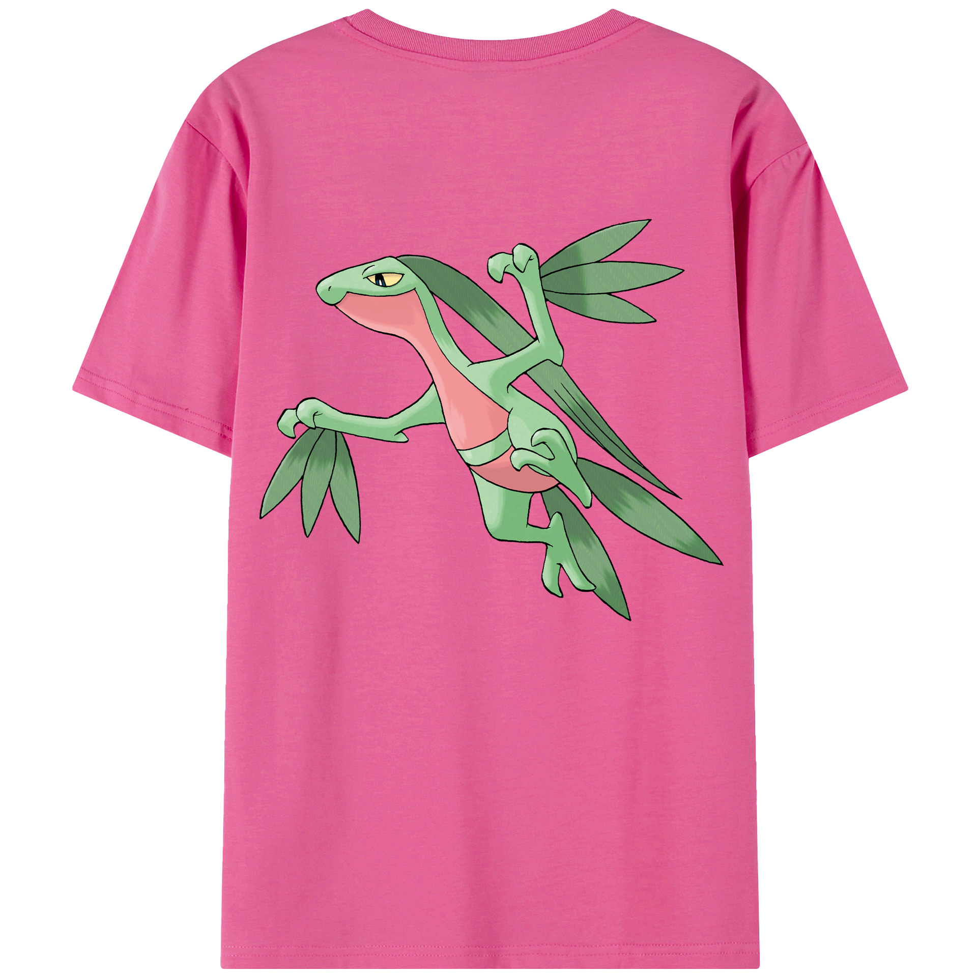 （画像用） ポケットモンスター Pokémon レディース半袖Tシャツ(バックプリント)