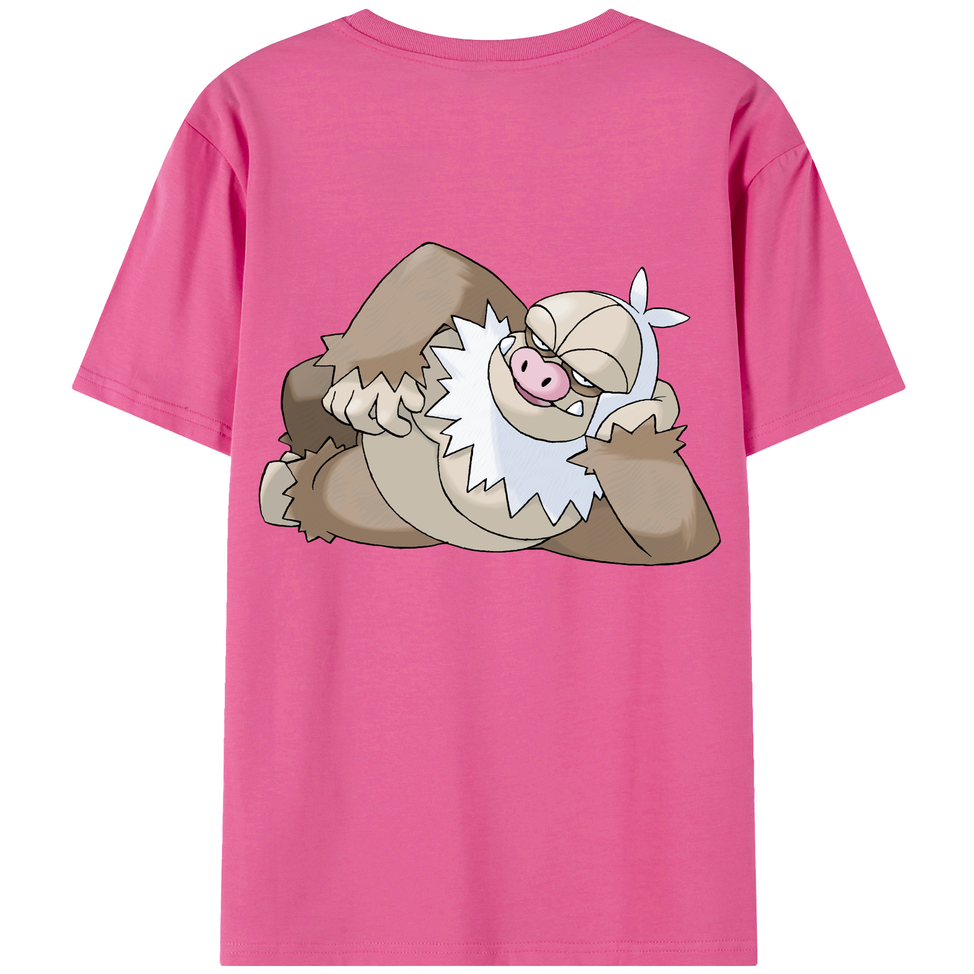 （画像用） ポケットモンスター Pokémon レディース半袖Tシャツ(バックプリント)