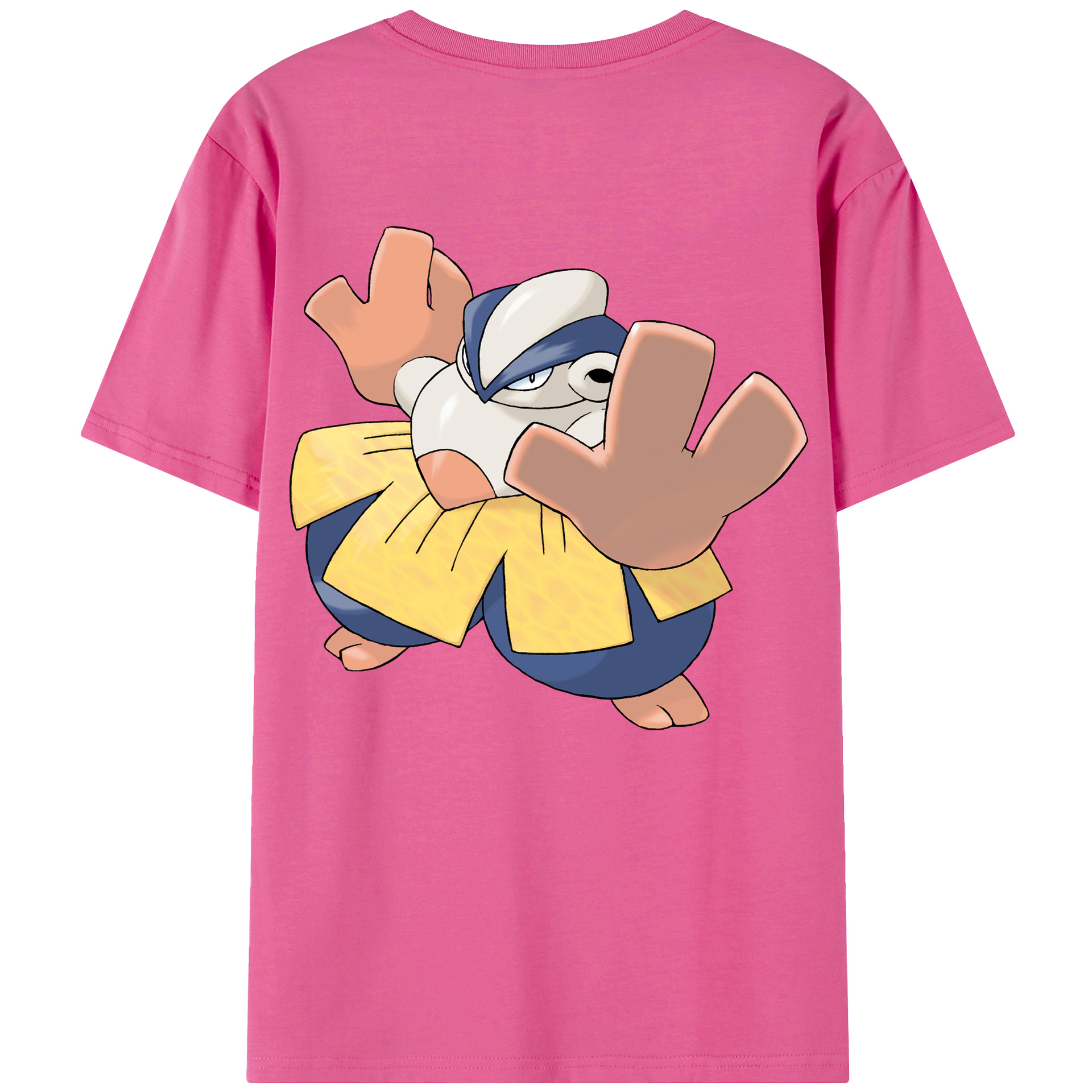 （画像用） ポケットモンスター Pokémon レディース半袖Tシャツ(バックプリント)