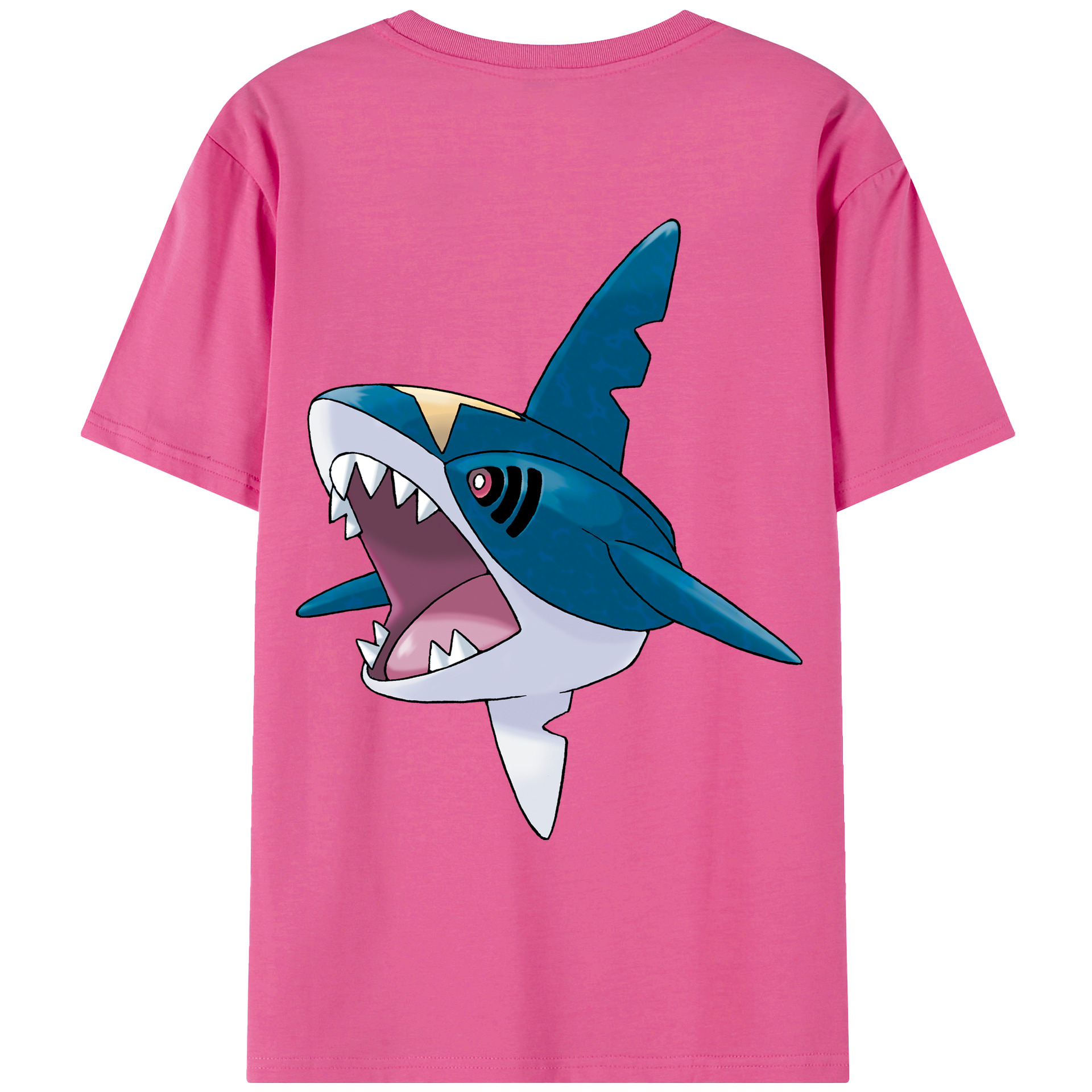 （画像用） ポケットモンスター Pokémon レディース半袖Tシャツ(バックプリント)