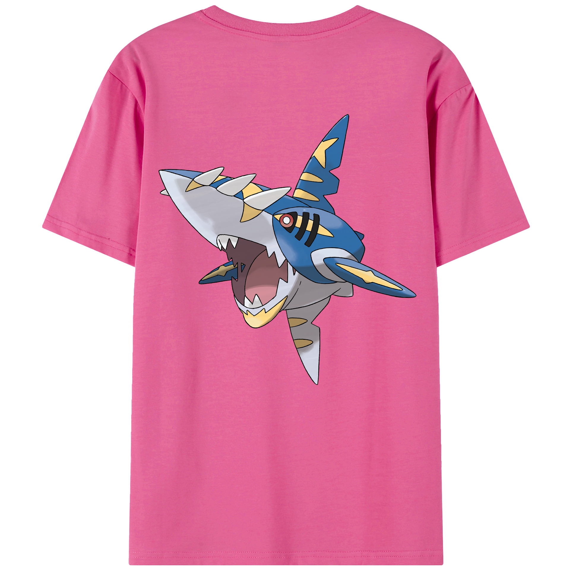 （画像用） ポケットモンスター Pokémon レディース半袖Tシャツ(バックプリント)