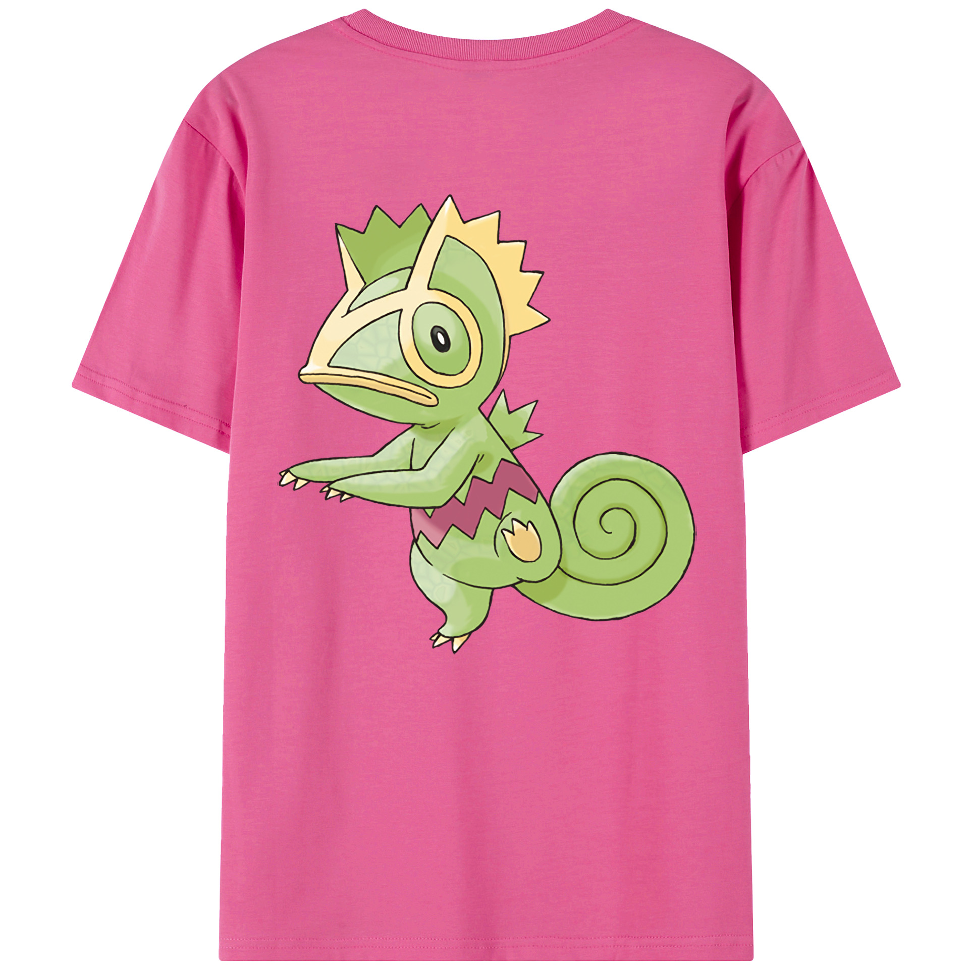 （画像用） ポケットモンスター Pokémon レディース半袖Tシャツ(バックプリント)