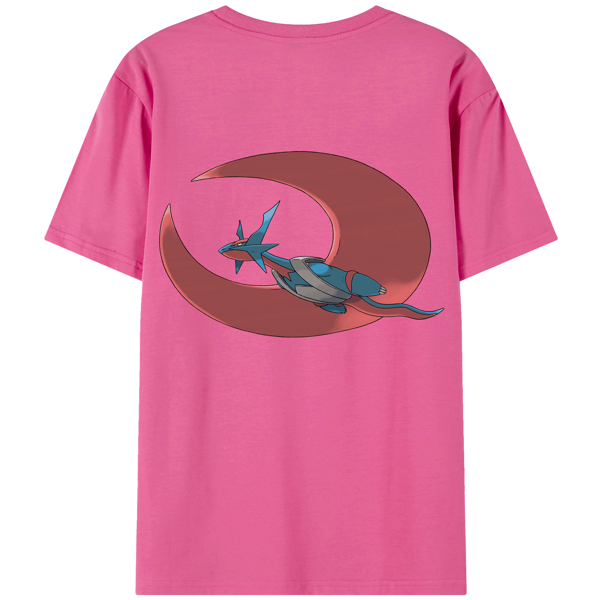（画像用） ポケットモンスター Pokémon レディース半袖Tシャツ(バックプリント)