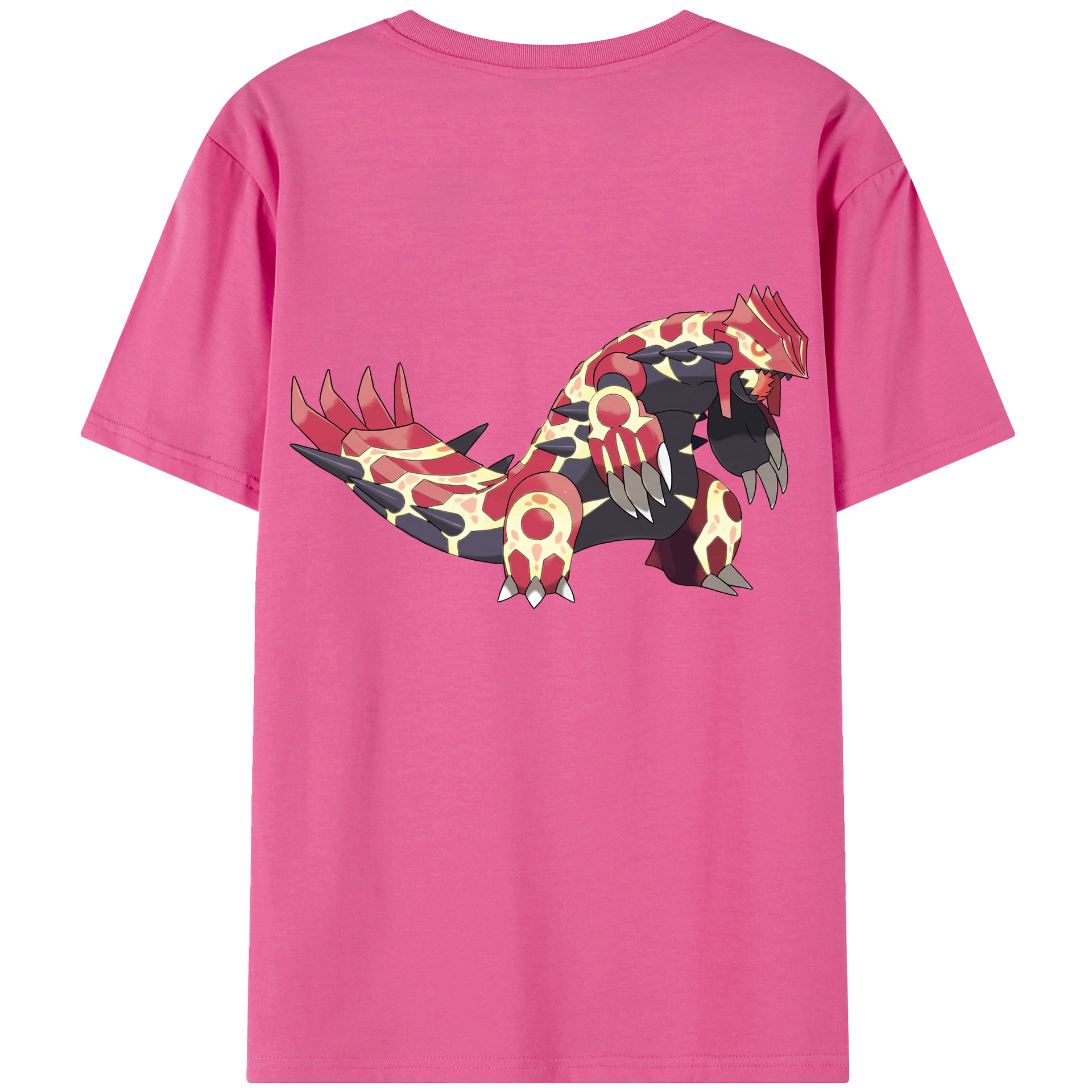 （画像用） ポケットモンスター Pokémon レディース半袖Tシャツ(バックプリント)