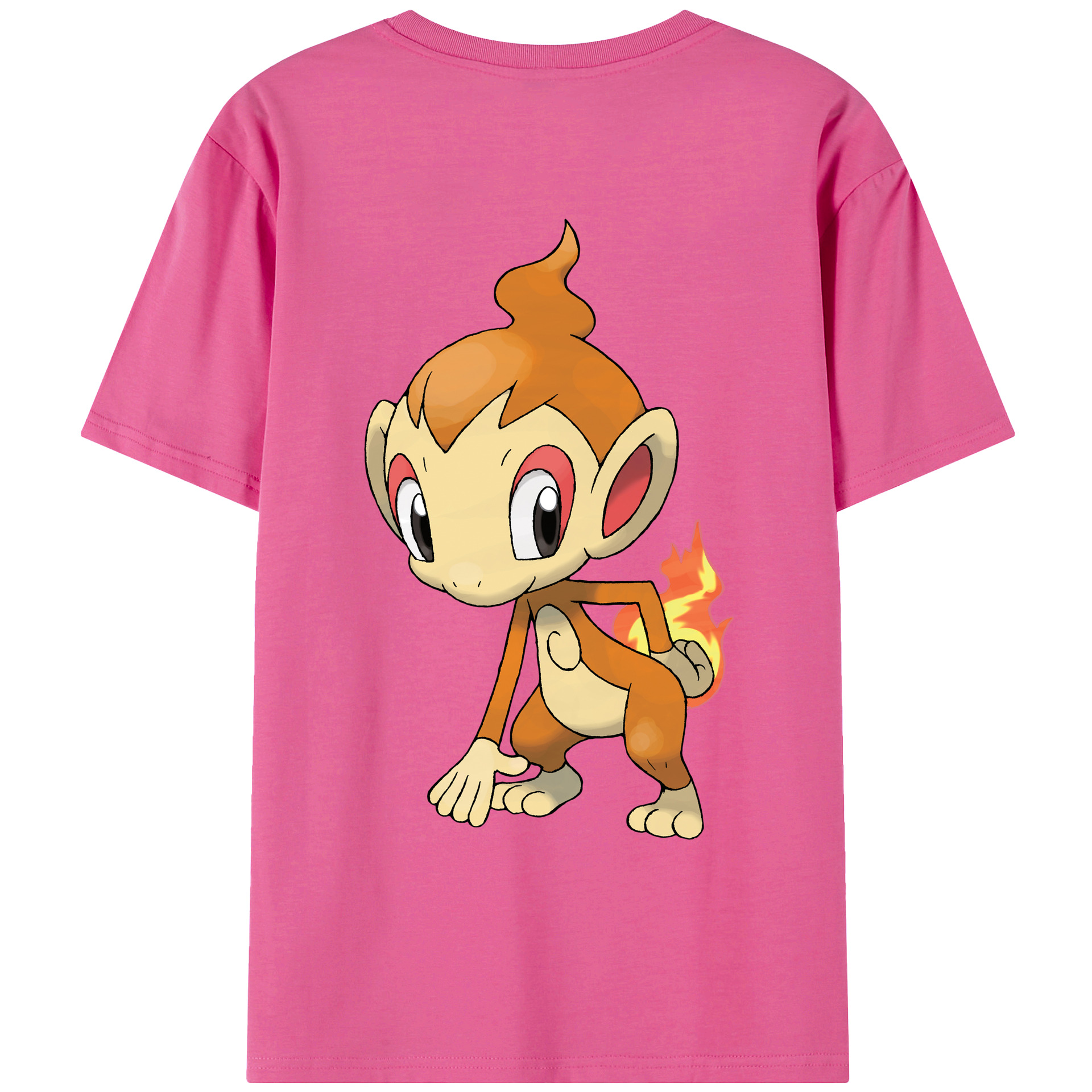 （画像用） ポケットモンスター Pokémon レディース半袖Tシャツ(バックプリント)