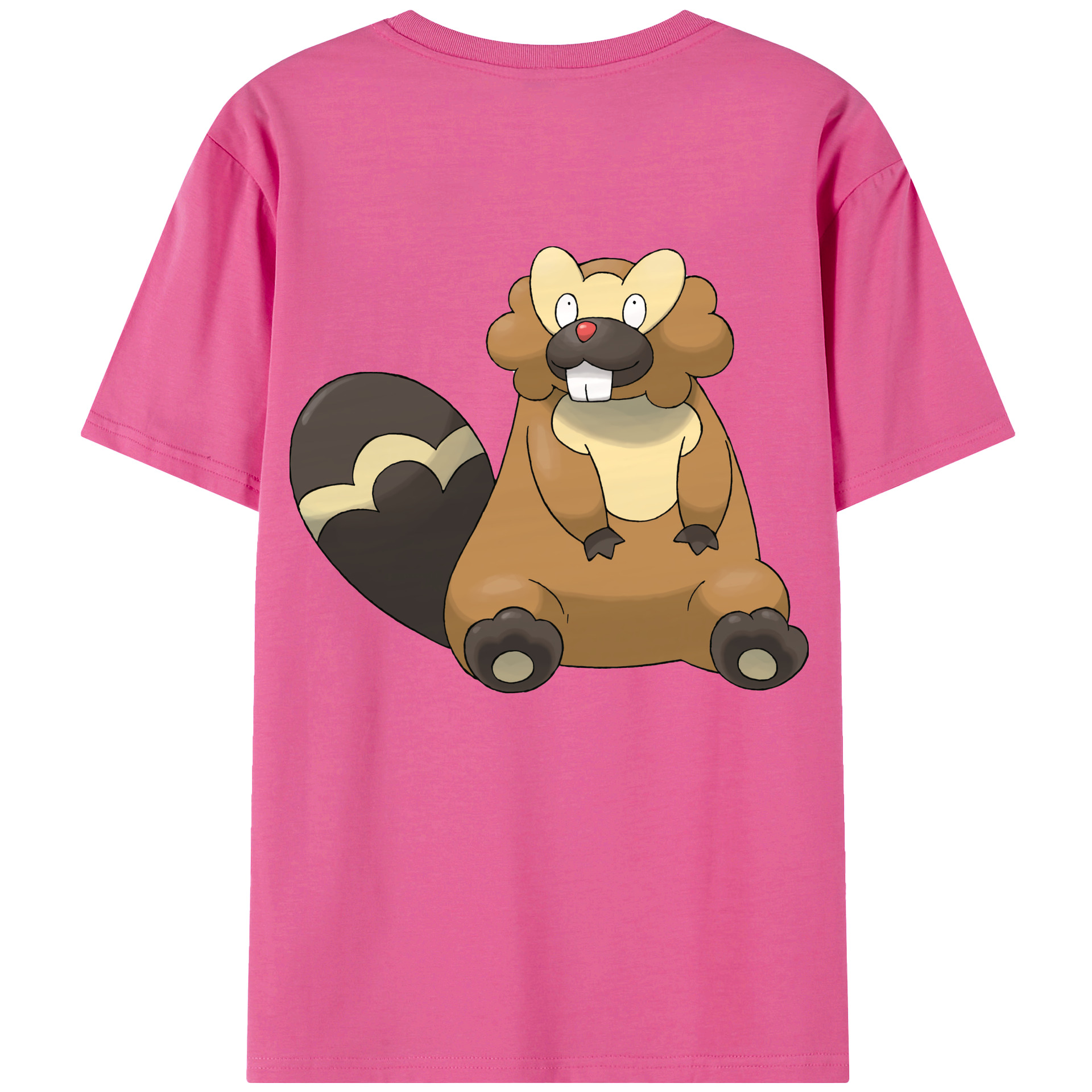 （画像用） ポケットモンスター Pokémon レディース半袖Tシャツ(バックプリント)