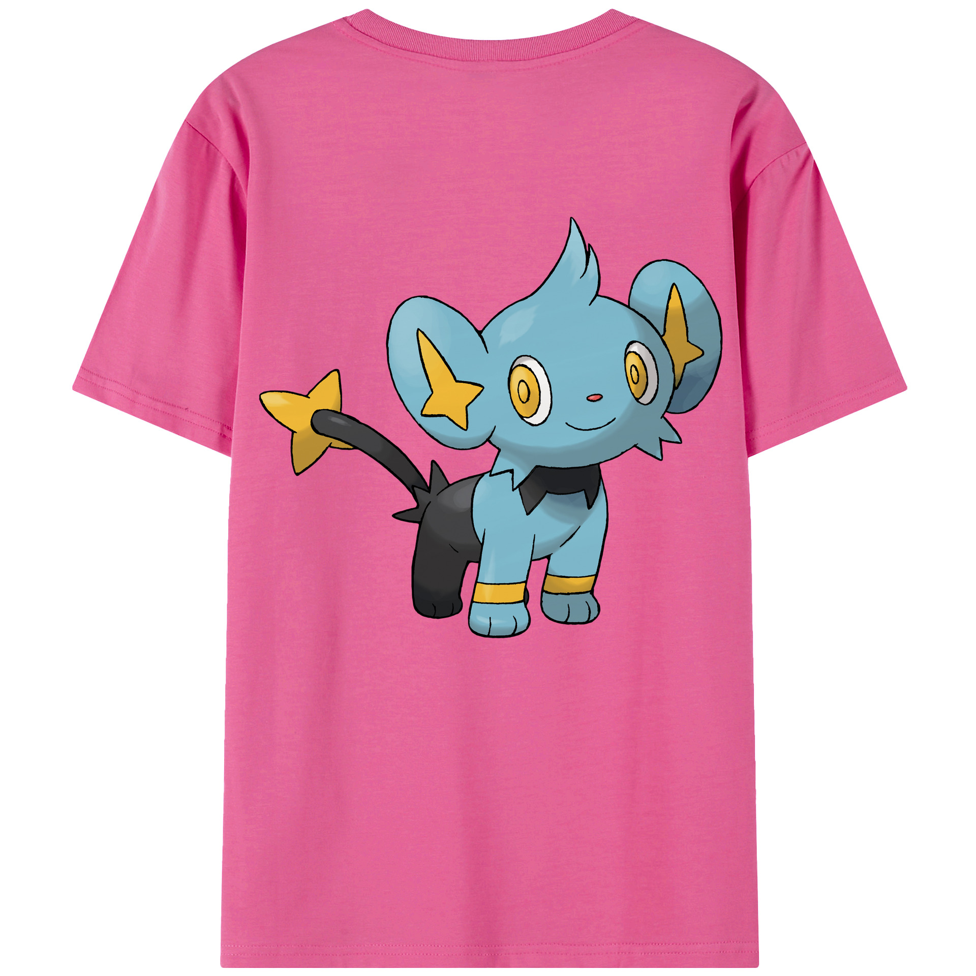 （画像用） ポケットモンスター Pokémon レディース半袖Tシャツ(バックプリント)