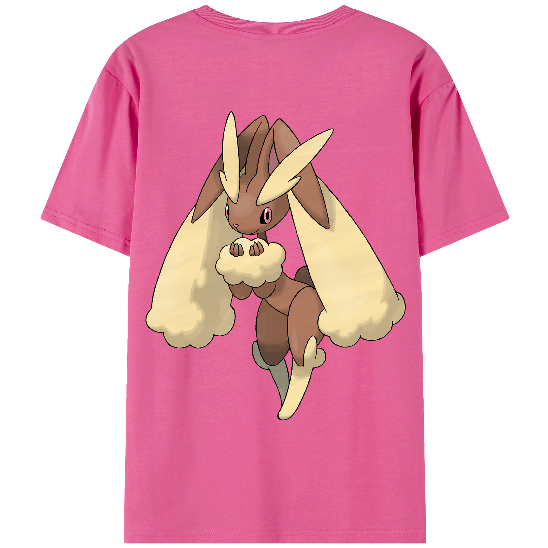 （画像用） ポケットモンスター Pokémon レディース半袖Tシャツ(バックプリント)