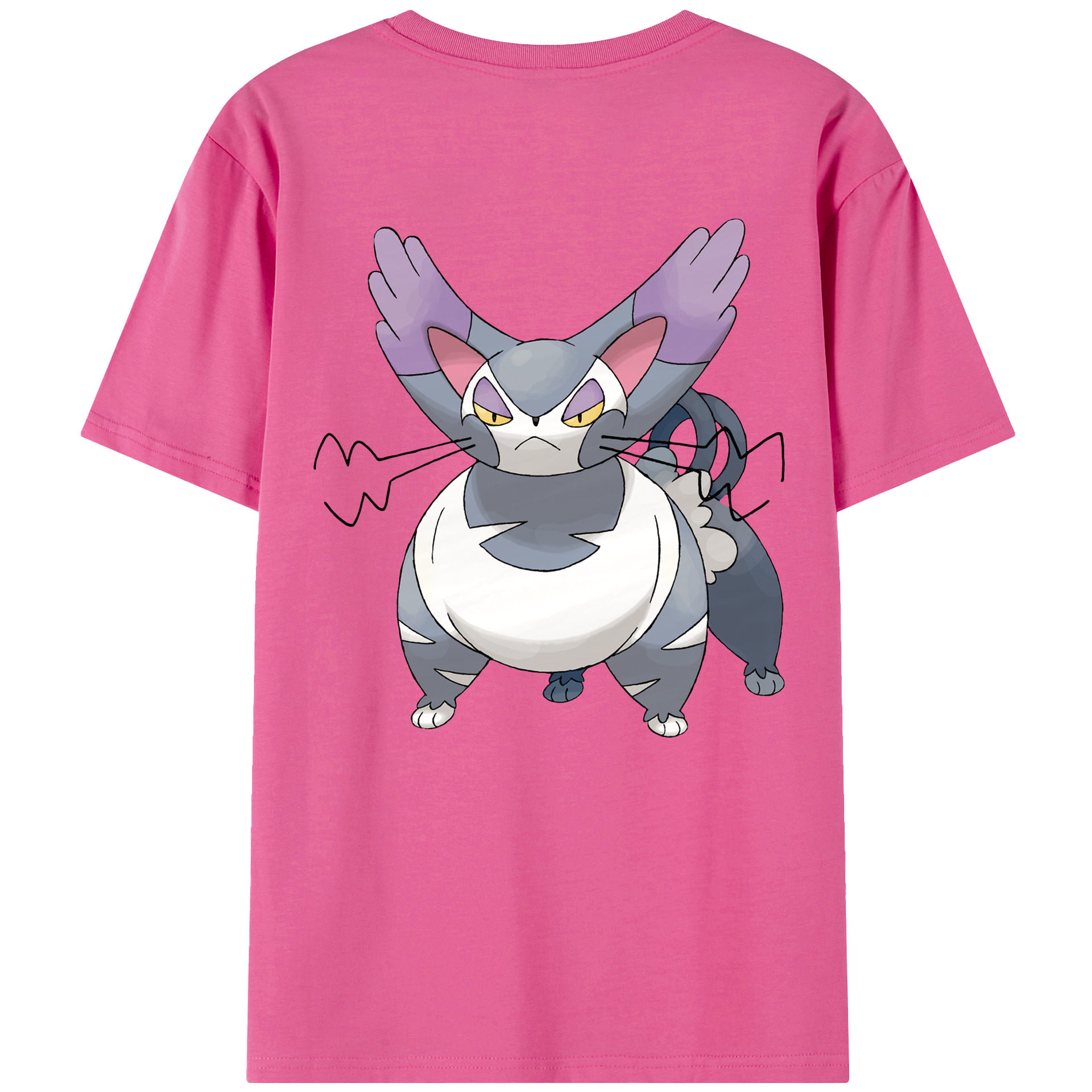 （画像用） ポケットモンスター Pokémon レディース半袖Tシャツ(バックプリント)