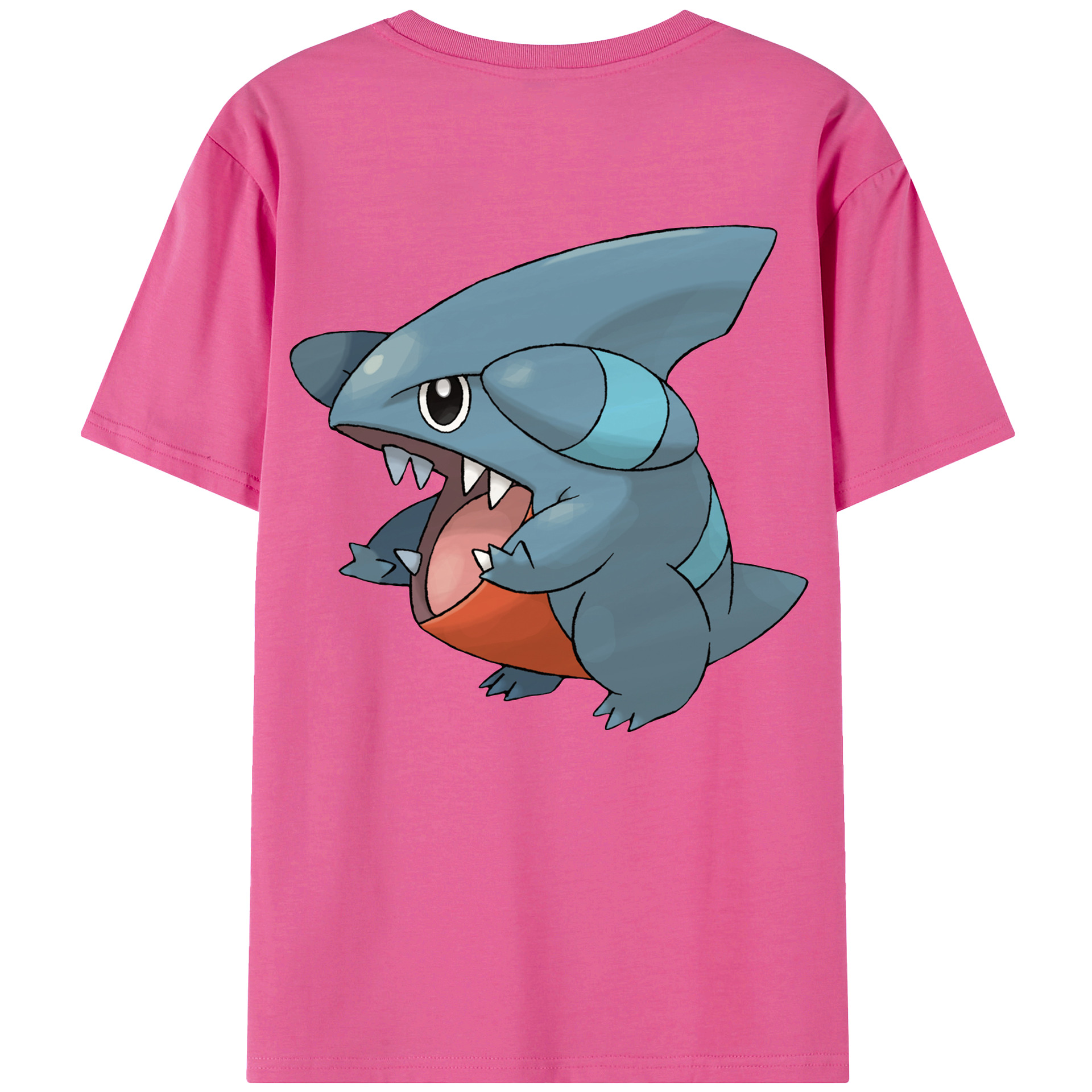 （画像用） ポケットモンスター Pokémon レディース半袖Tシャツ(バックプリント)