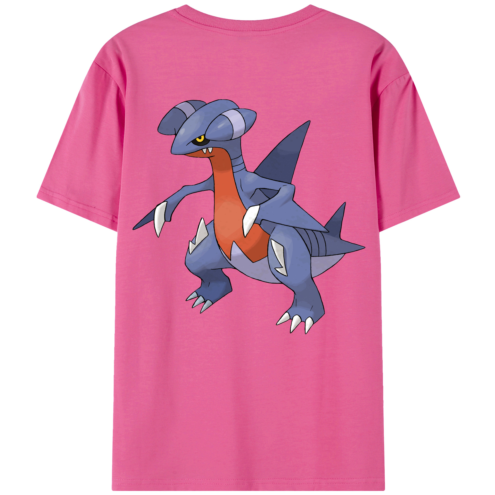 （画像用） ポケットモンスター Pokémon レディース半袖Tシャツ(バックプリント)