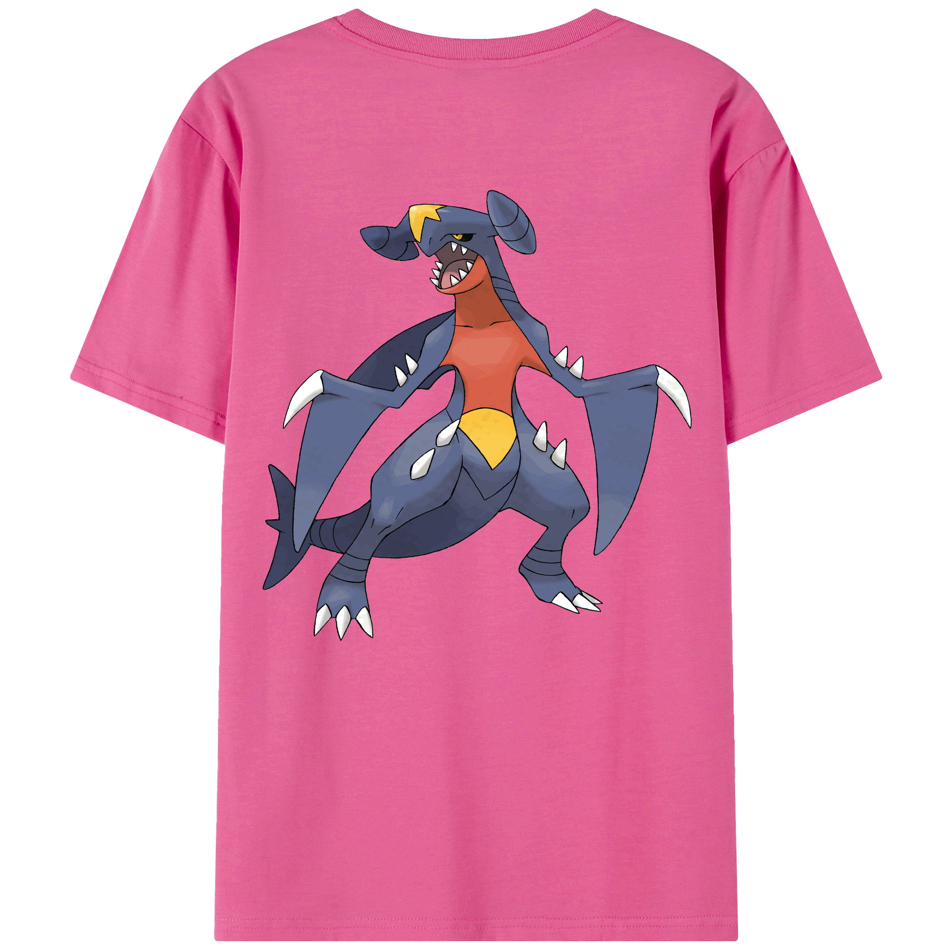 （画像用） ポケットモンスター Pokémon レディース半袖Tシャツ(バックプリント)