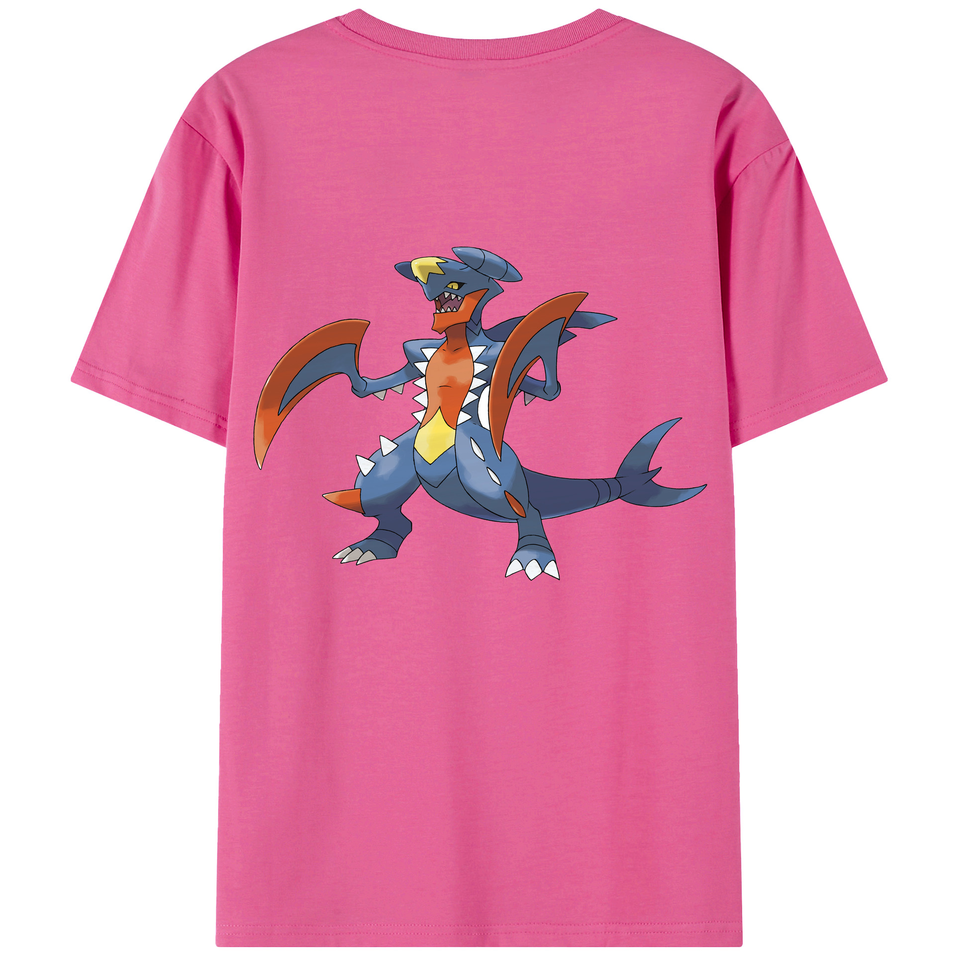 （画像用） ポケットモンスター Pokémon レディース半袖Tシャツ(バックプリント)