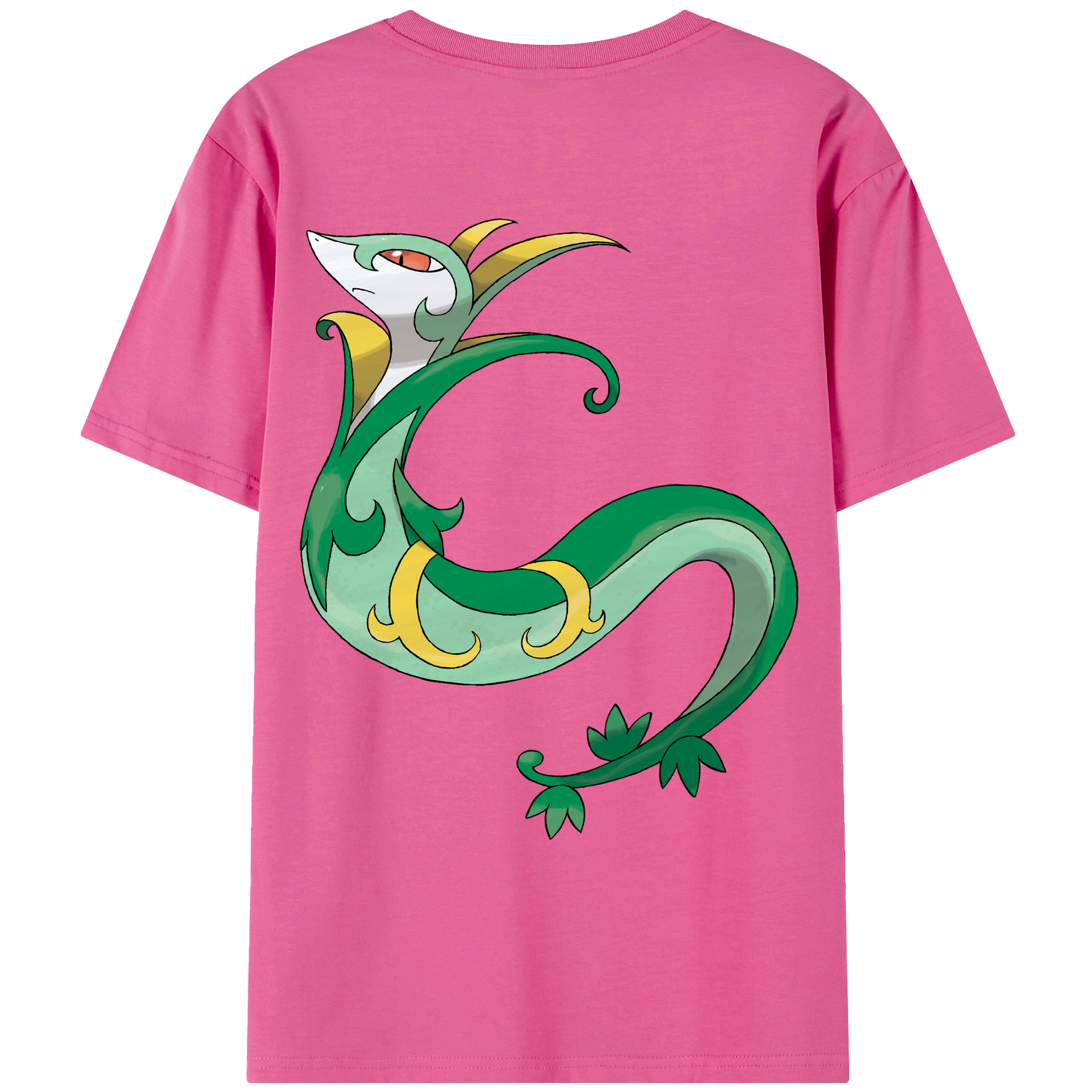 （画像用） ポケットモンスター Pokémon レディース半袖Tシャツ(バックプリント)
