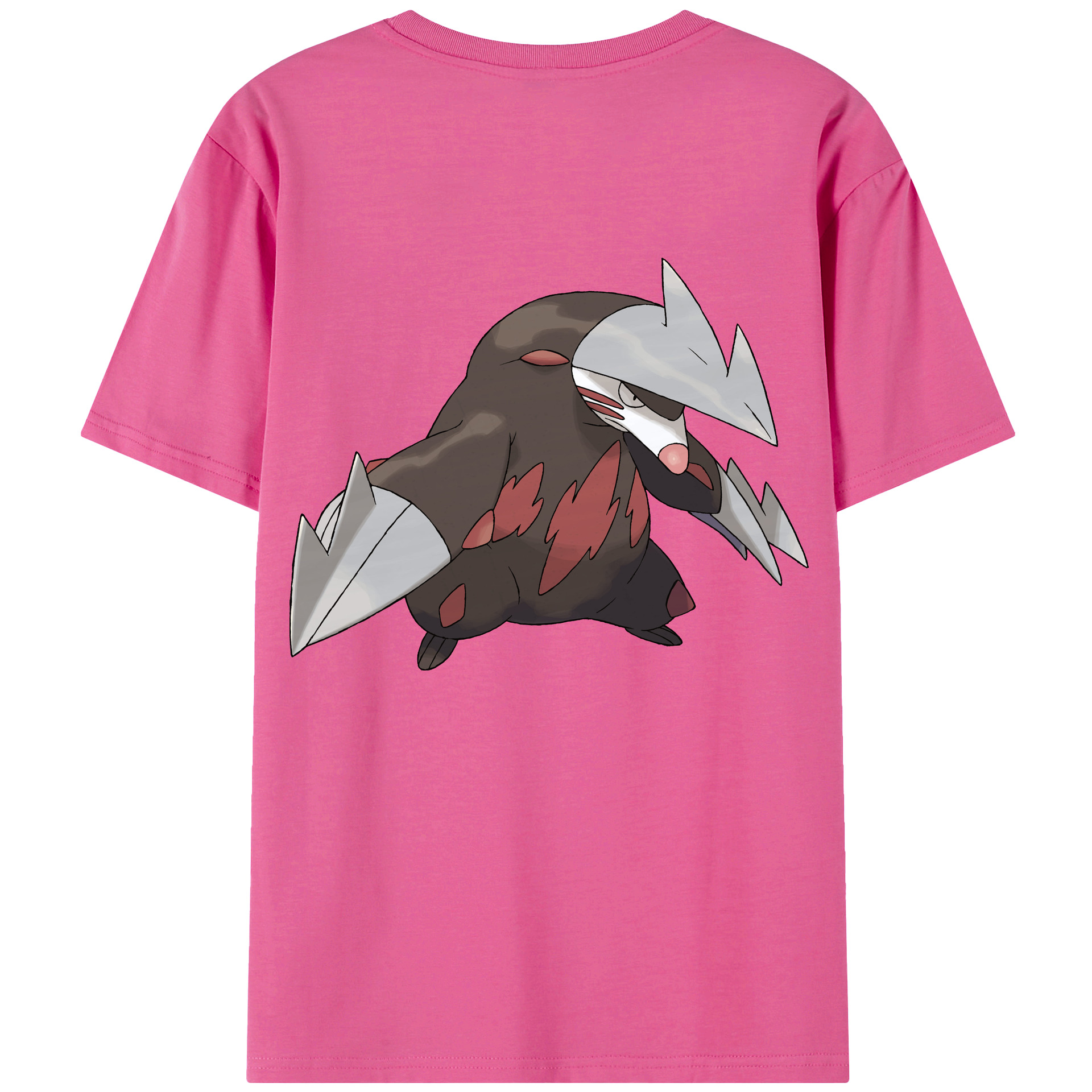 （画像用） ポケットモンスター Pokémon レディース半袖Tシャツ(バックプリント)