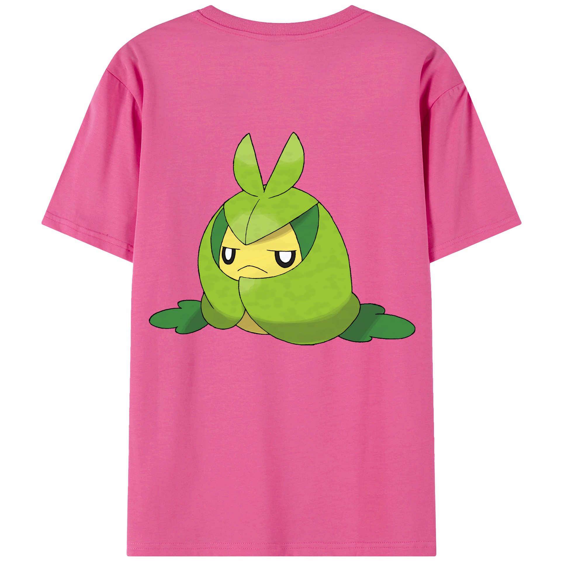 （画像用） ポケットモンスター Pokémon レディース半袖Tシャツ(バックプリント)