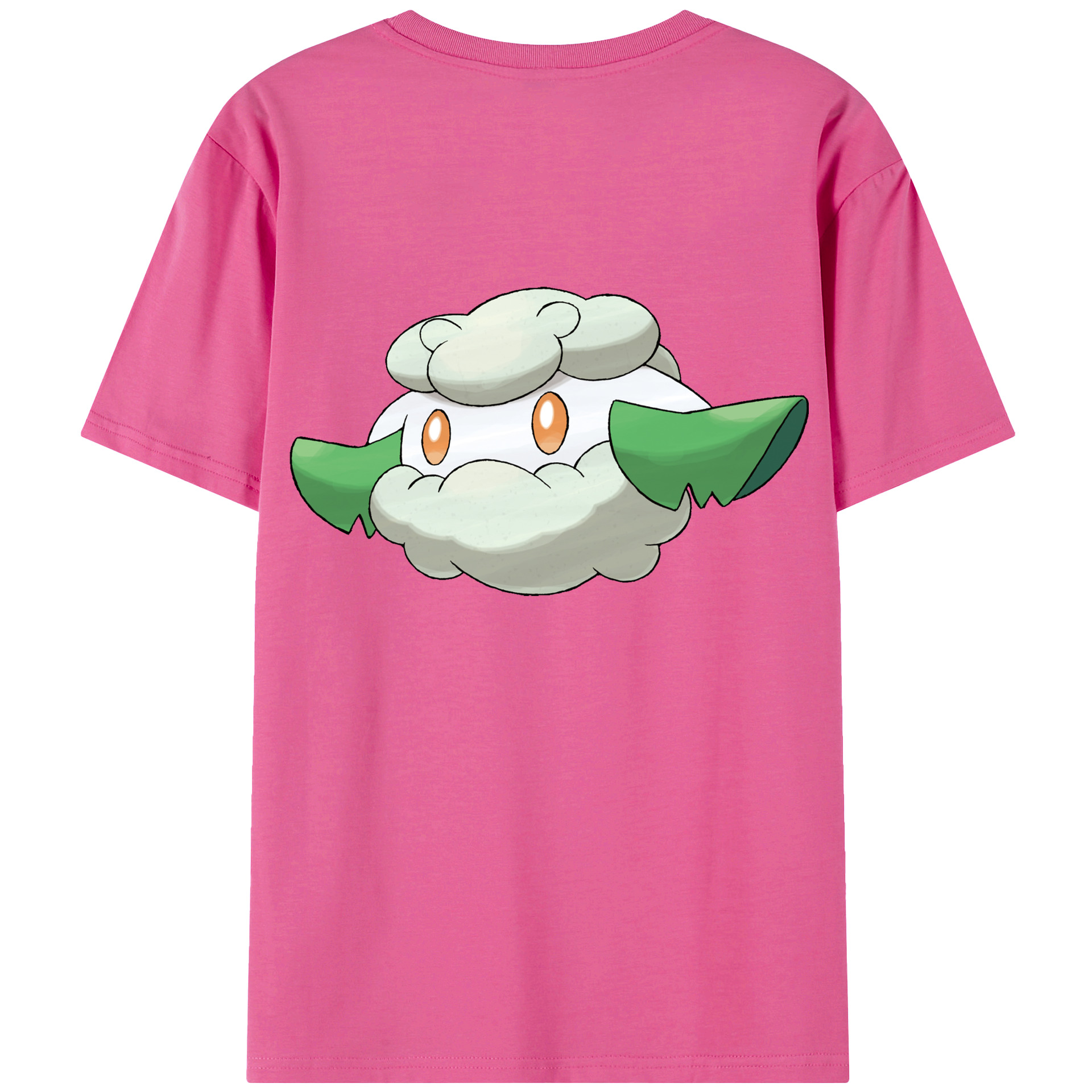 （画像用） ポケットモンスター Pokémon レディース半袖Tシャツ(バックプリント)