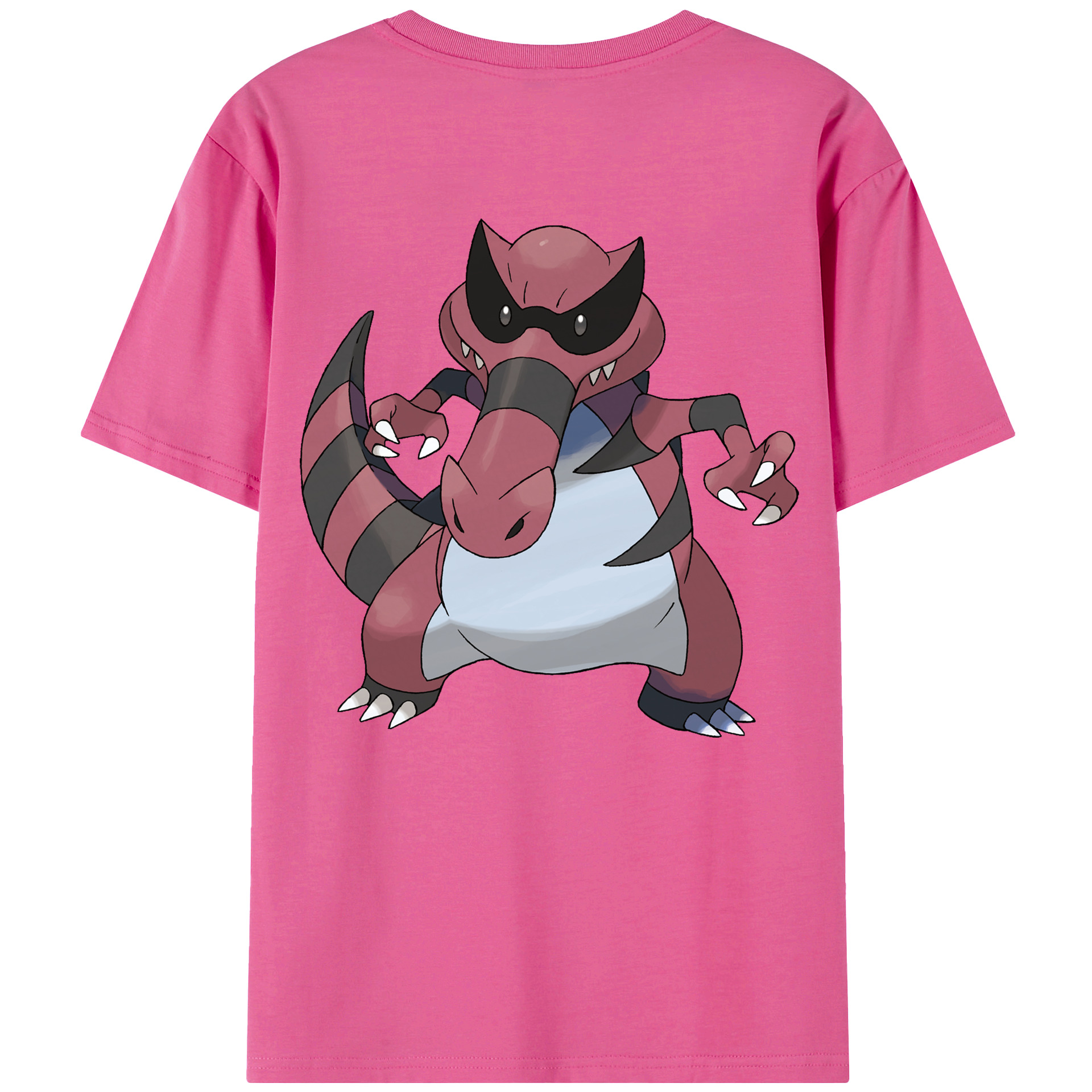 （画像用） ポケットモンスター Pokémon レディース半袖Tシャツ(バックプリント)