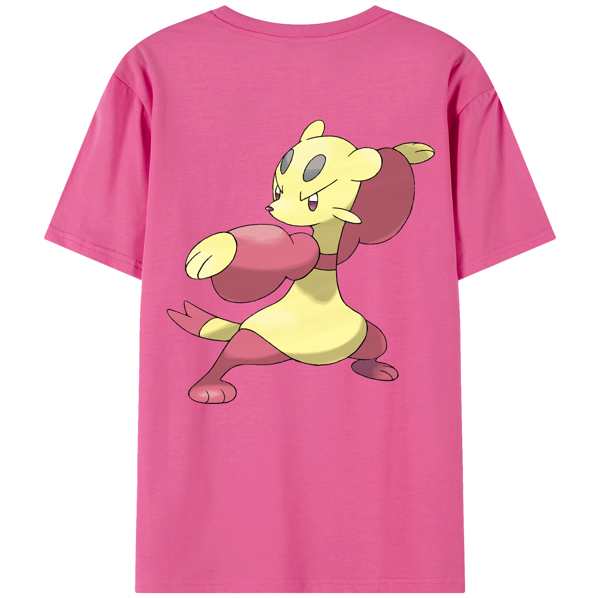 （画像用） ポケットモンスター Pokémon レディース半袖Tシャツ(バックプリント)
