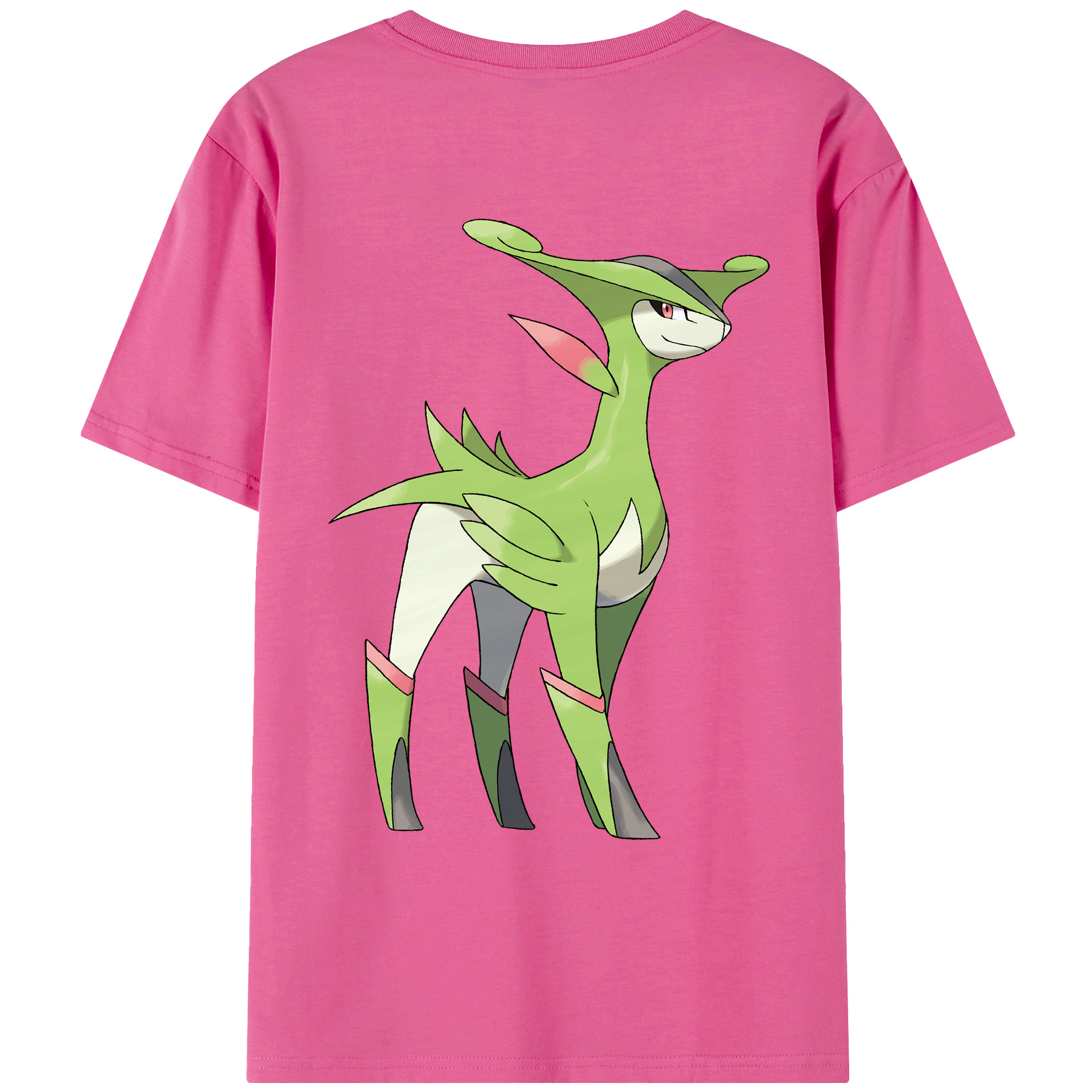 （画像用） ポケットモンスター Pokémon レディース半袖Tシャツ(バックプリント)