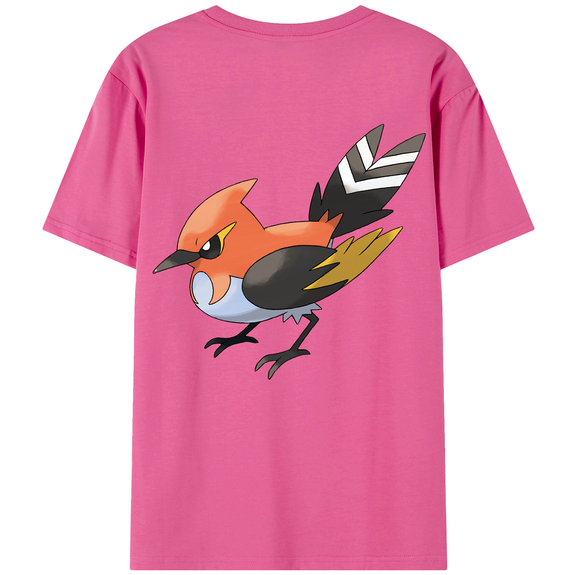 （画像用） ポケットモンスター Pokémon レディース半袖Tシャツ(バックプリント)