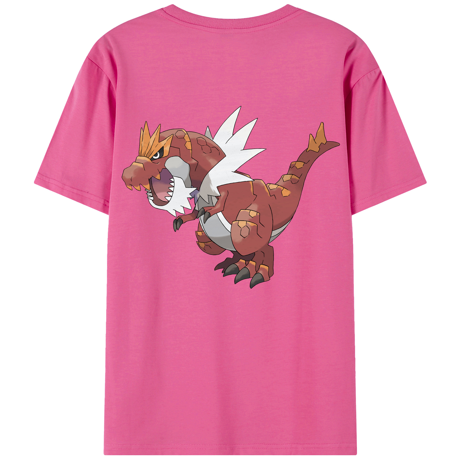 （画像用） ポケットモンスター Pokémon レディース半袖Tシャツ(バックプリント)