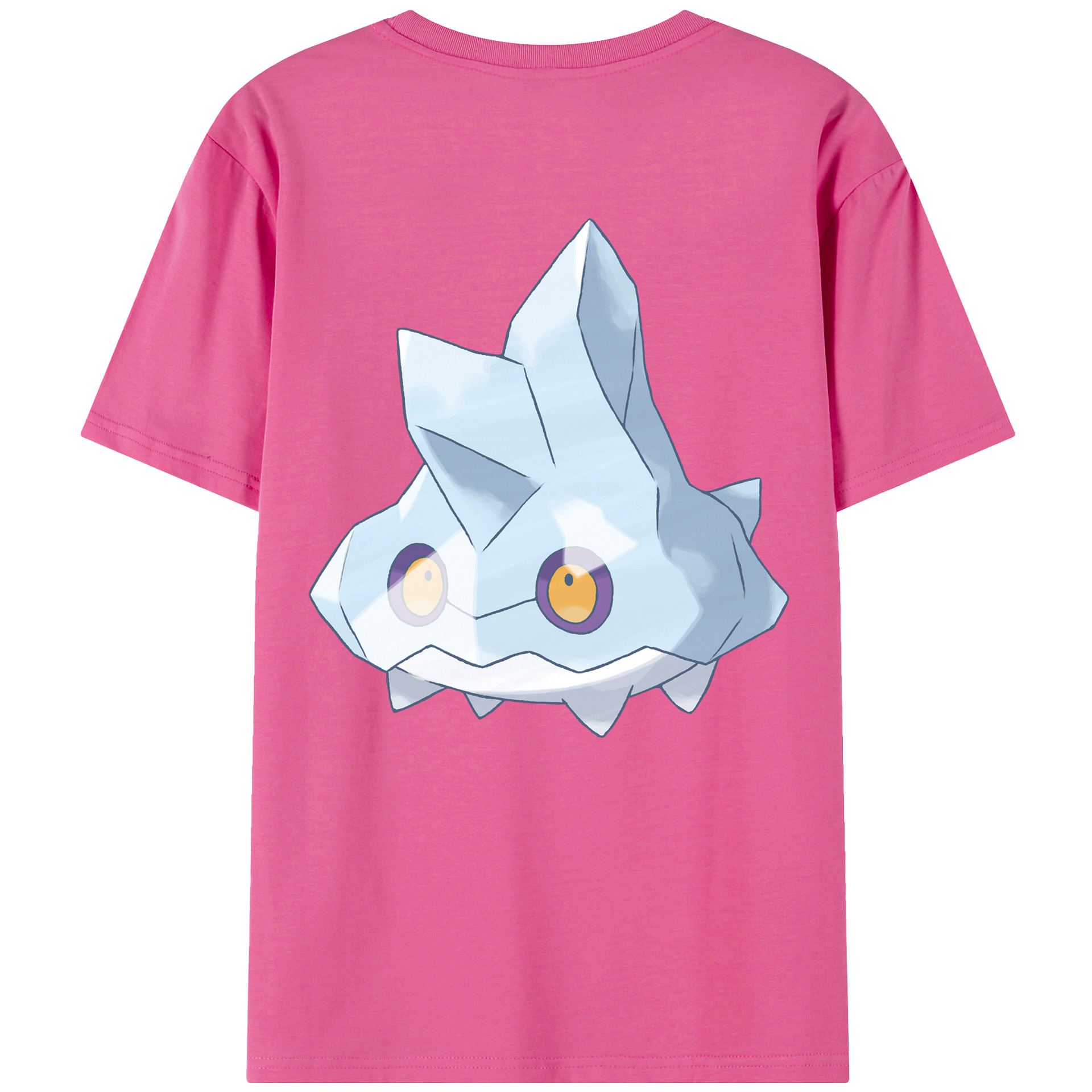 （画像用） ポケットモンスター Pokémon レディース半袖Tシャツ(バックプリント)